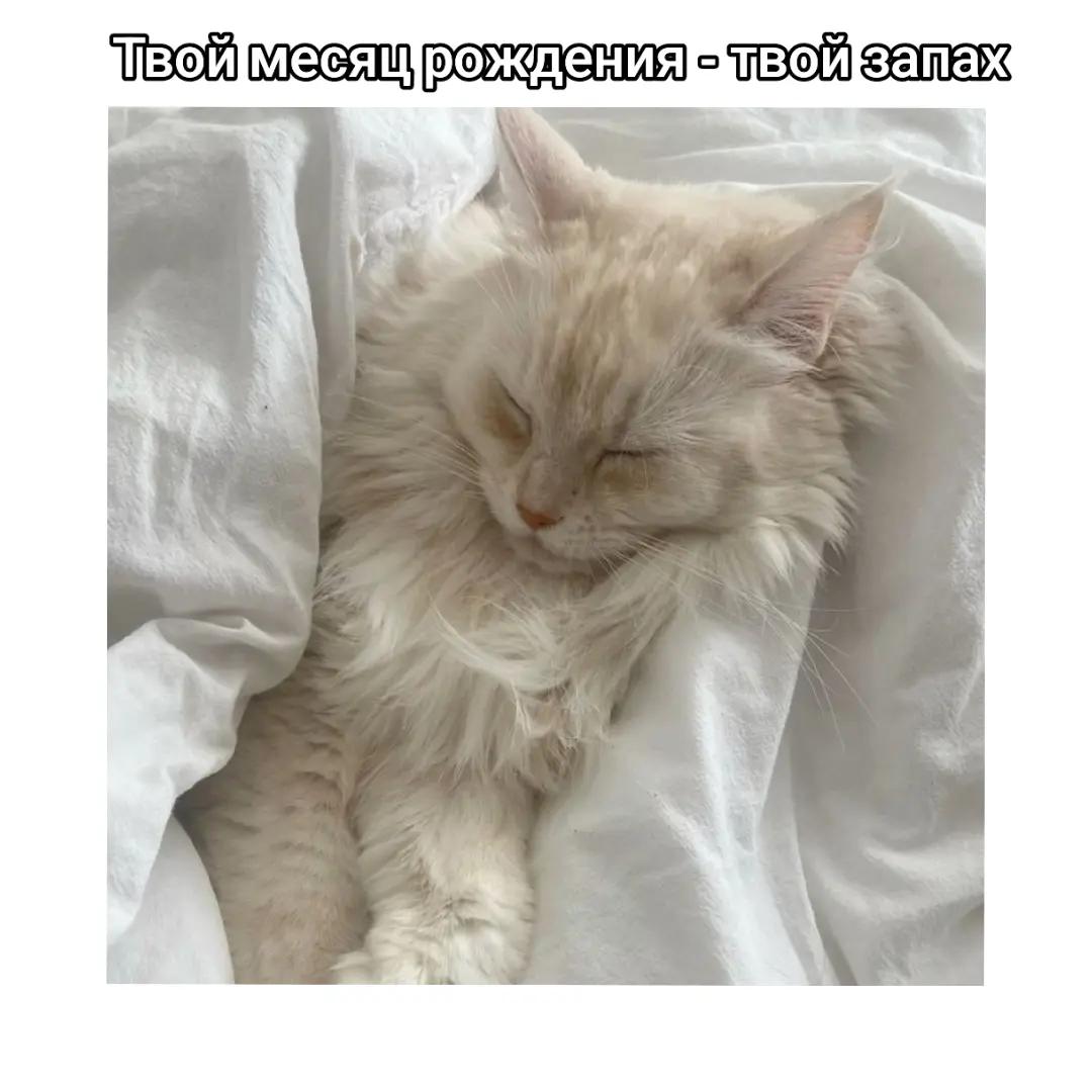 @🩰𝂅๋ꧦ۪nely🧁☆:𝂅๋ ꧦ۪ ׂ