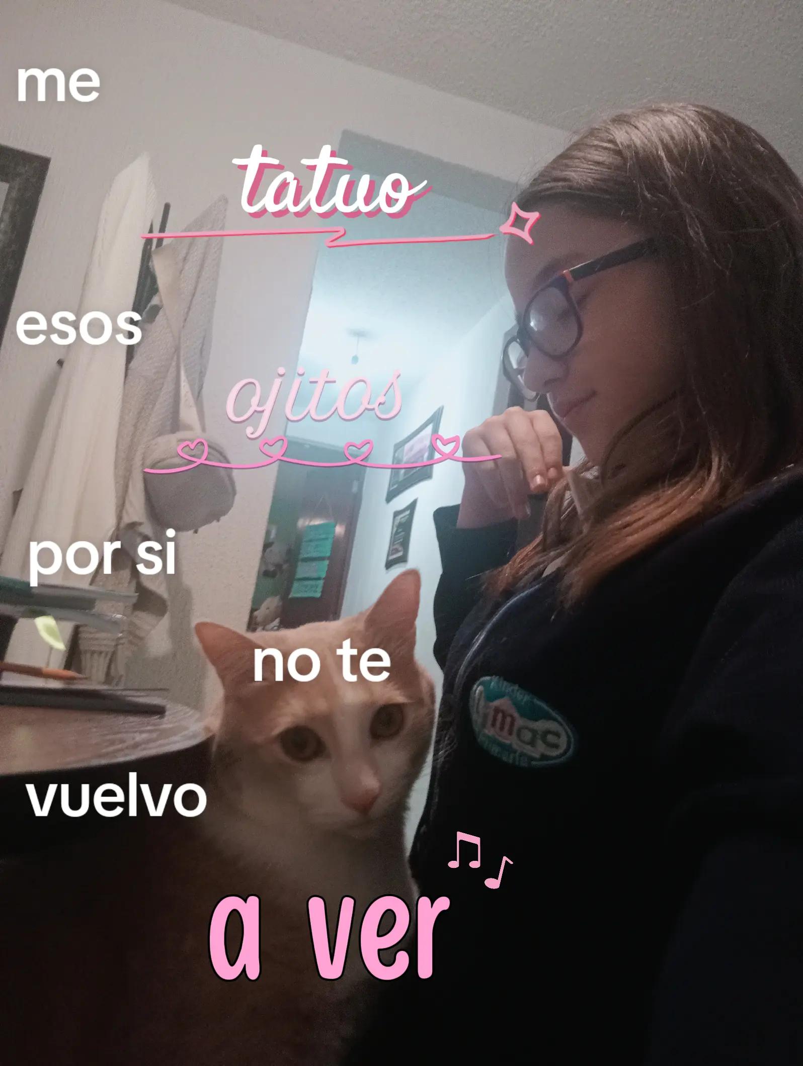 @:⋆˚꩜。only_isa⋆˚꩜。