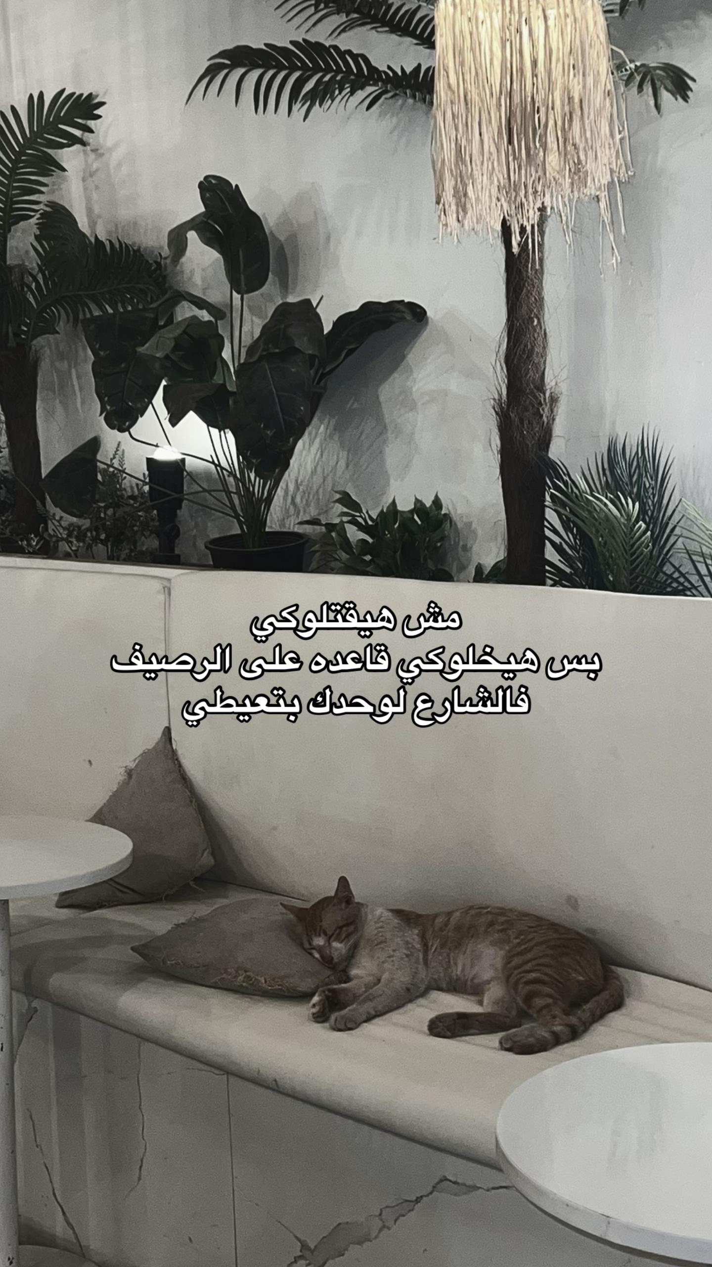 @﮼مؤمنه ﮼سمير 🦦