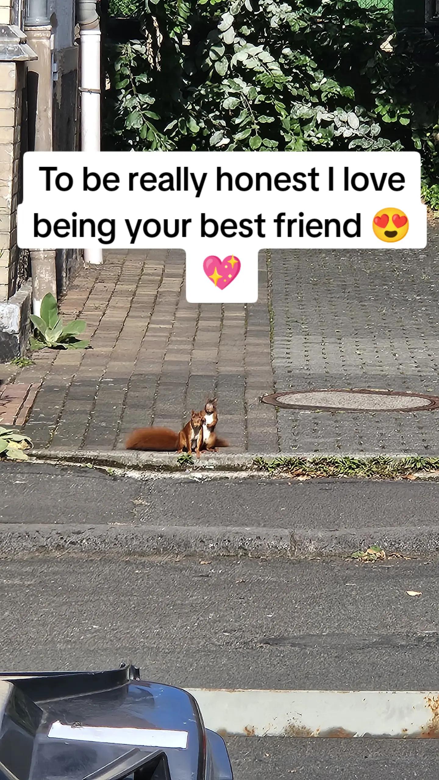 @Charm 2