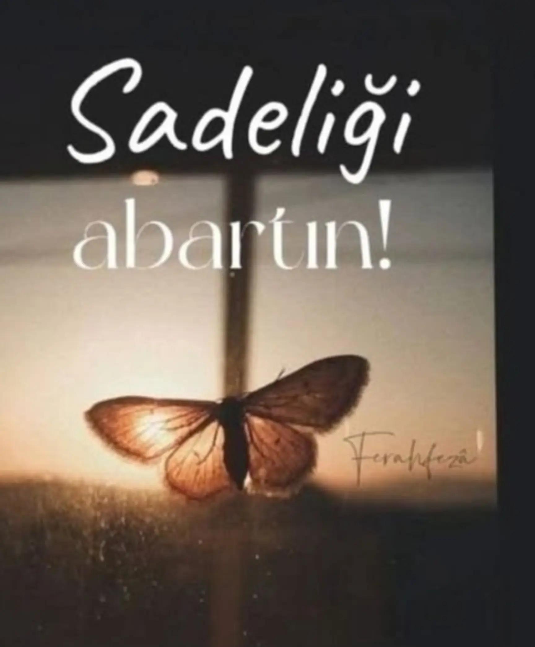@MEHMET ALİ 🇹🇷