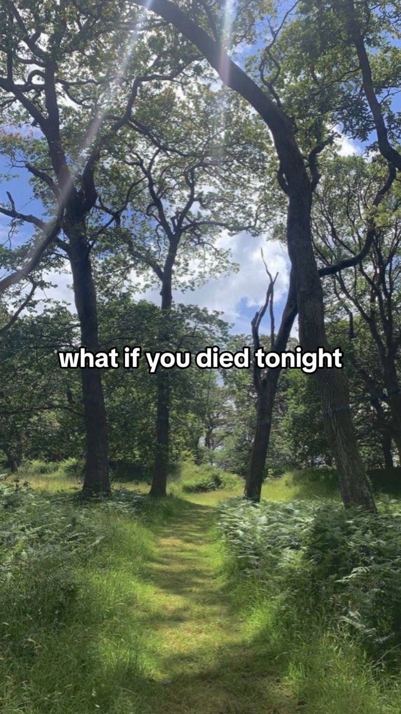 @Suu