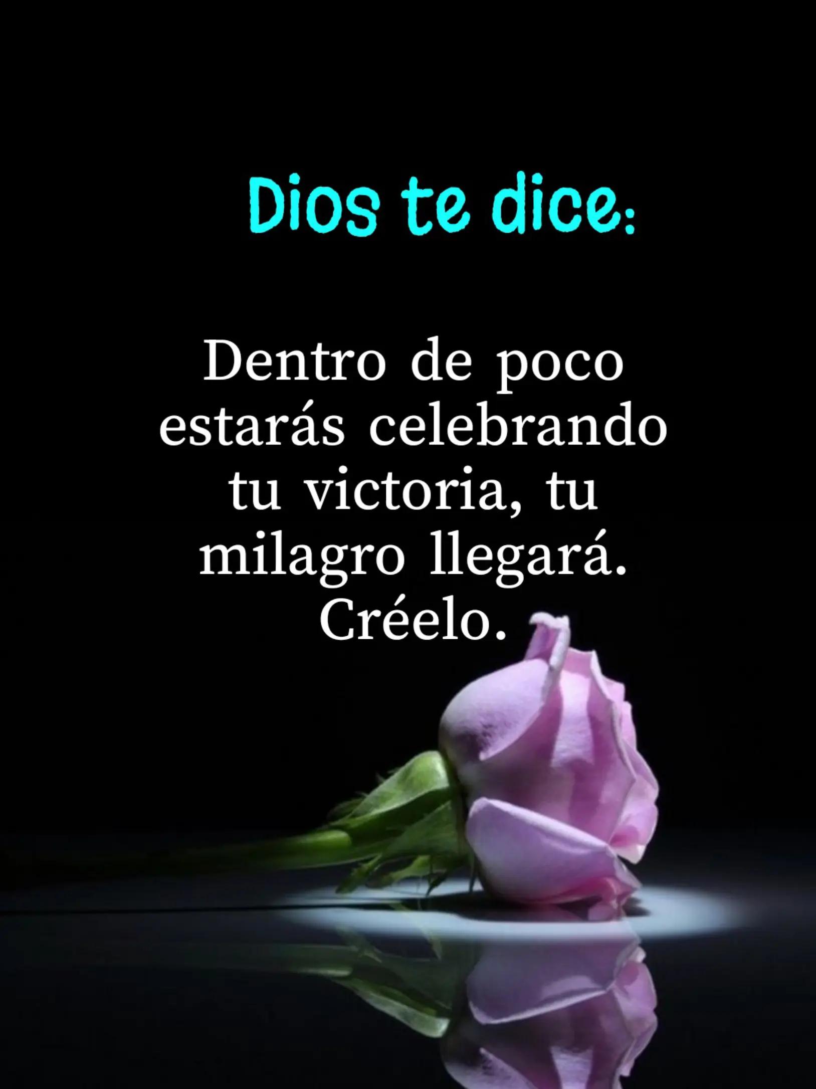 @Soldado de Jesus