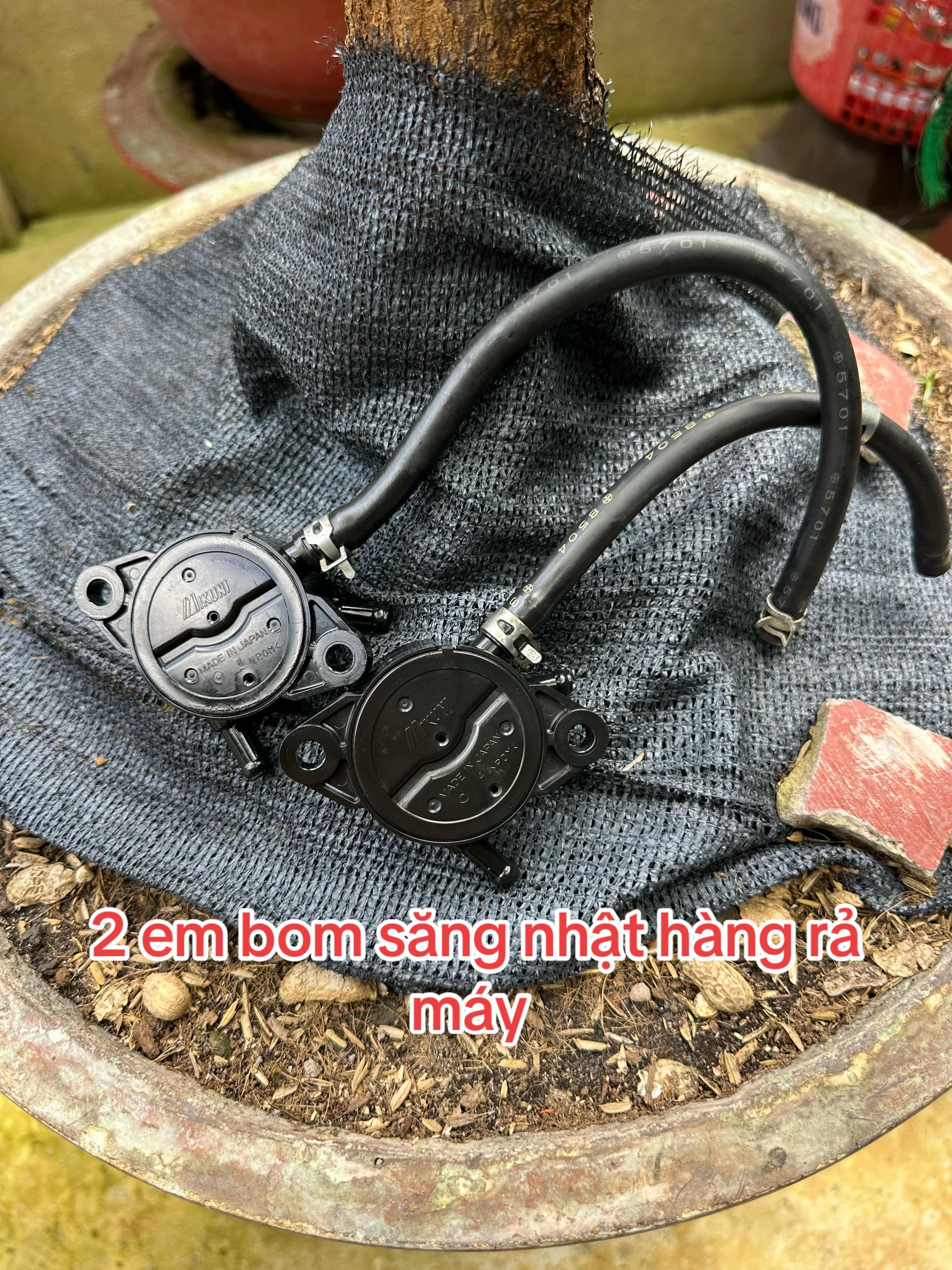 @Diên Tiền