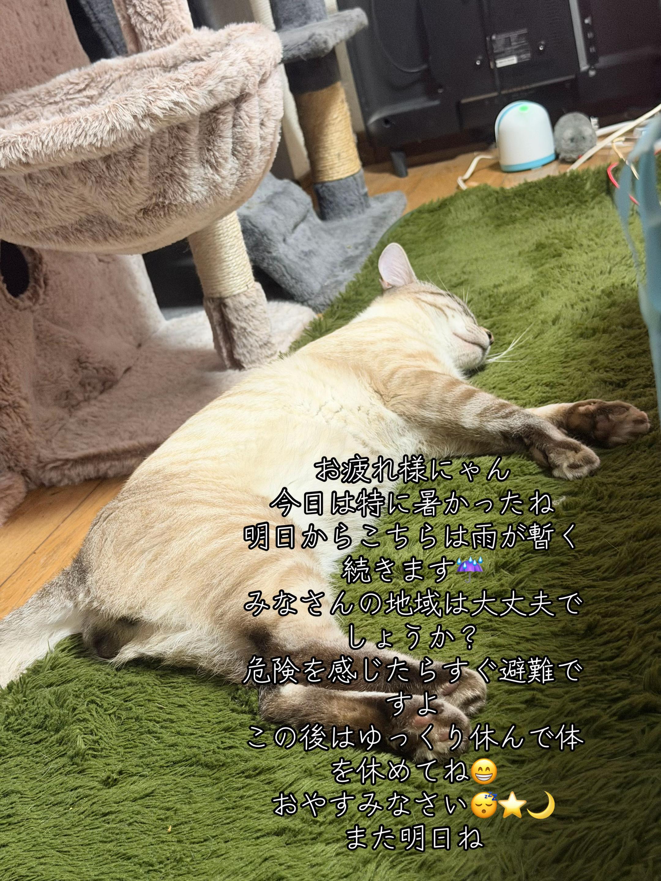 @ð¥é»æŸ€æ£å¿ð¥