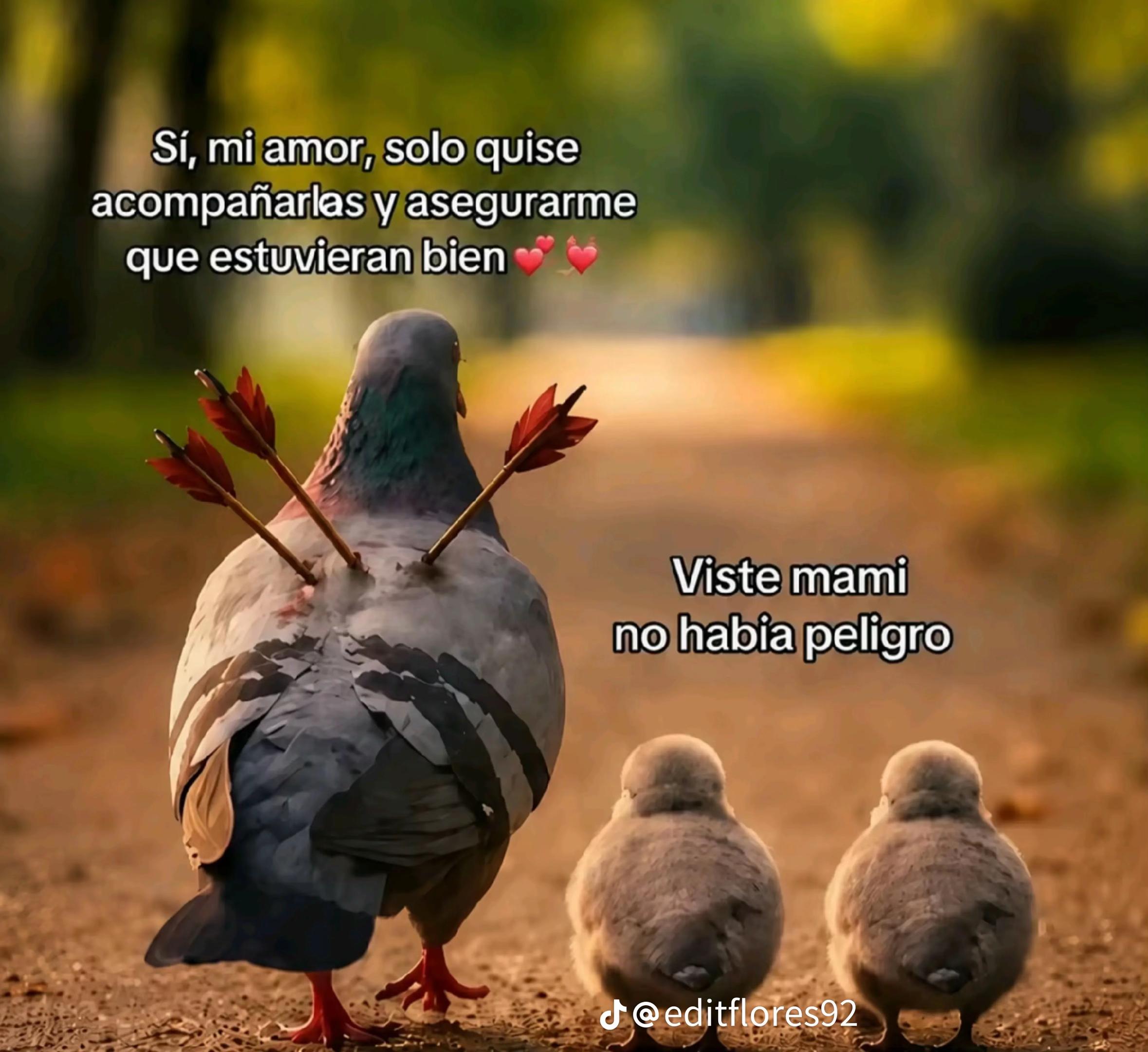 @lizethdomingz5