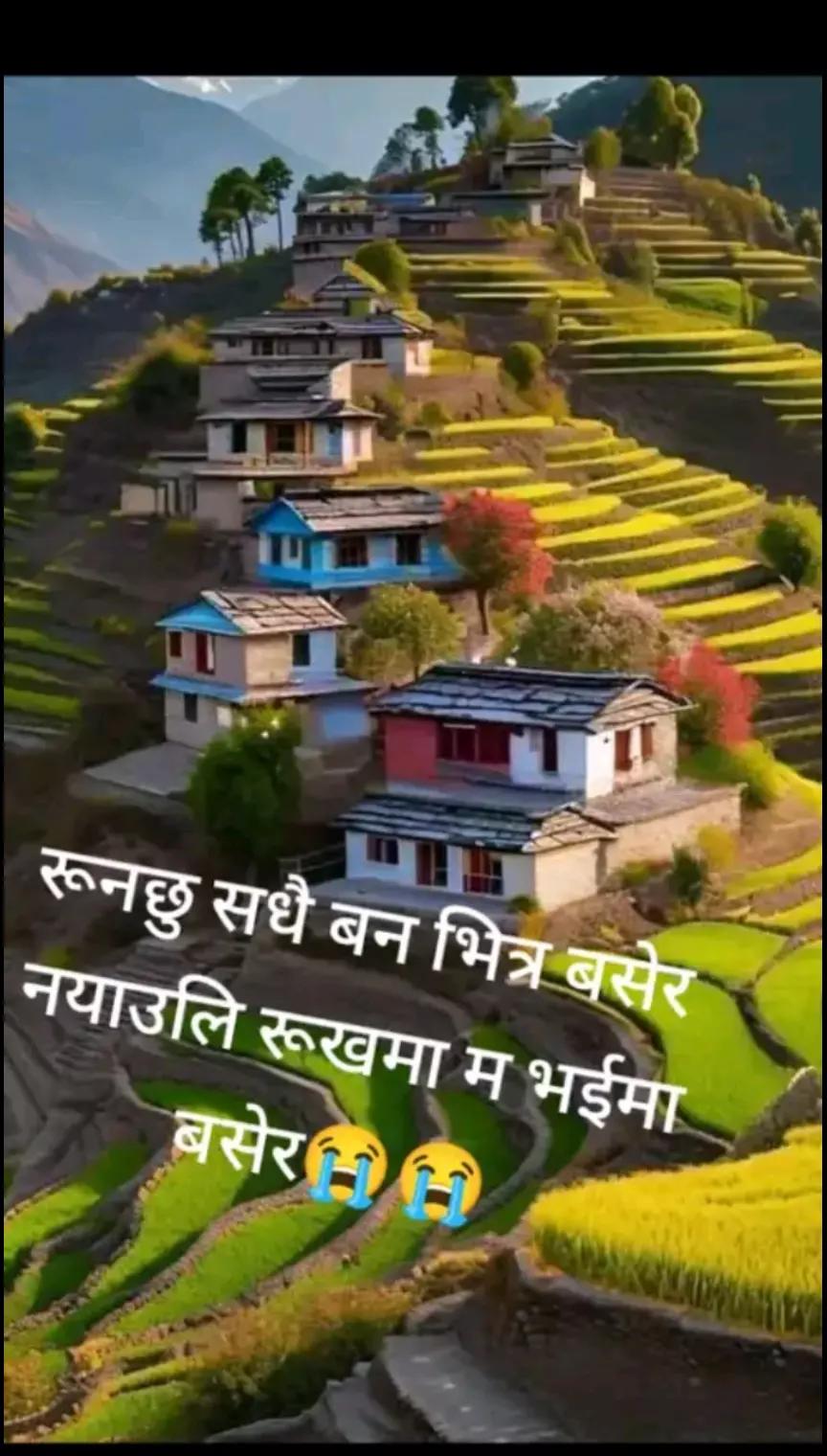 @धन बाहादुर परियार🙏🙏