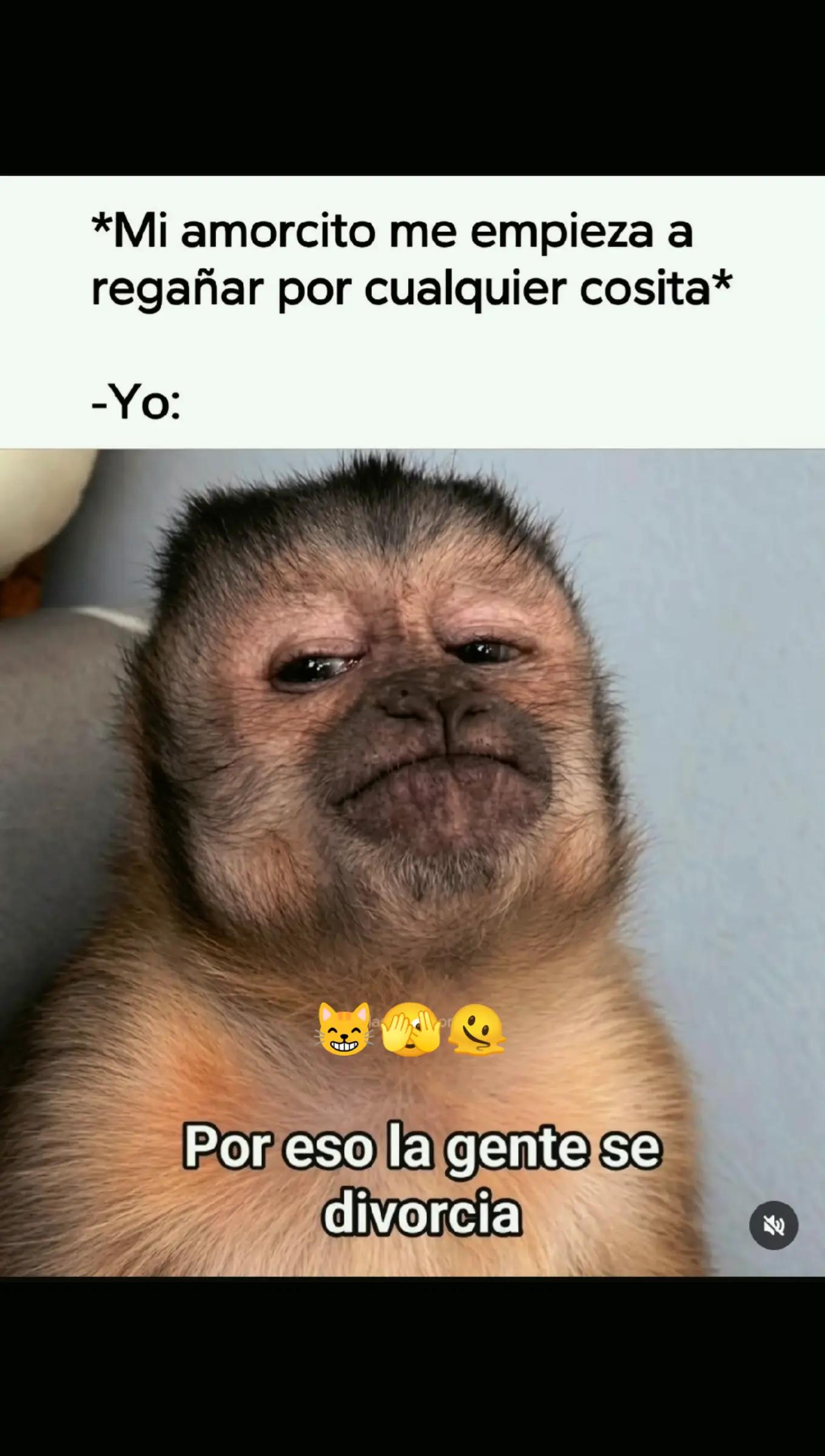 @❤️🩹: