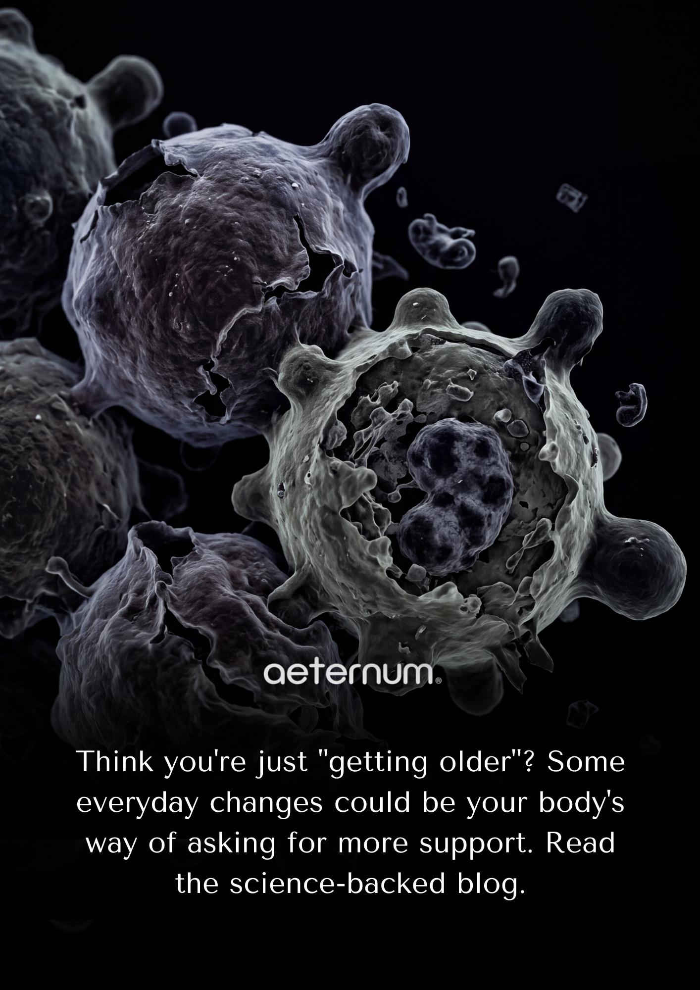 @Aeternum®