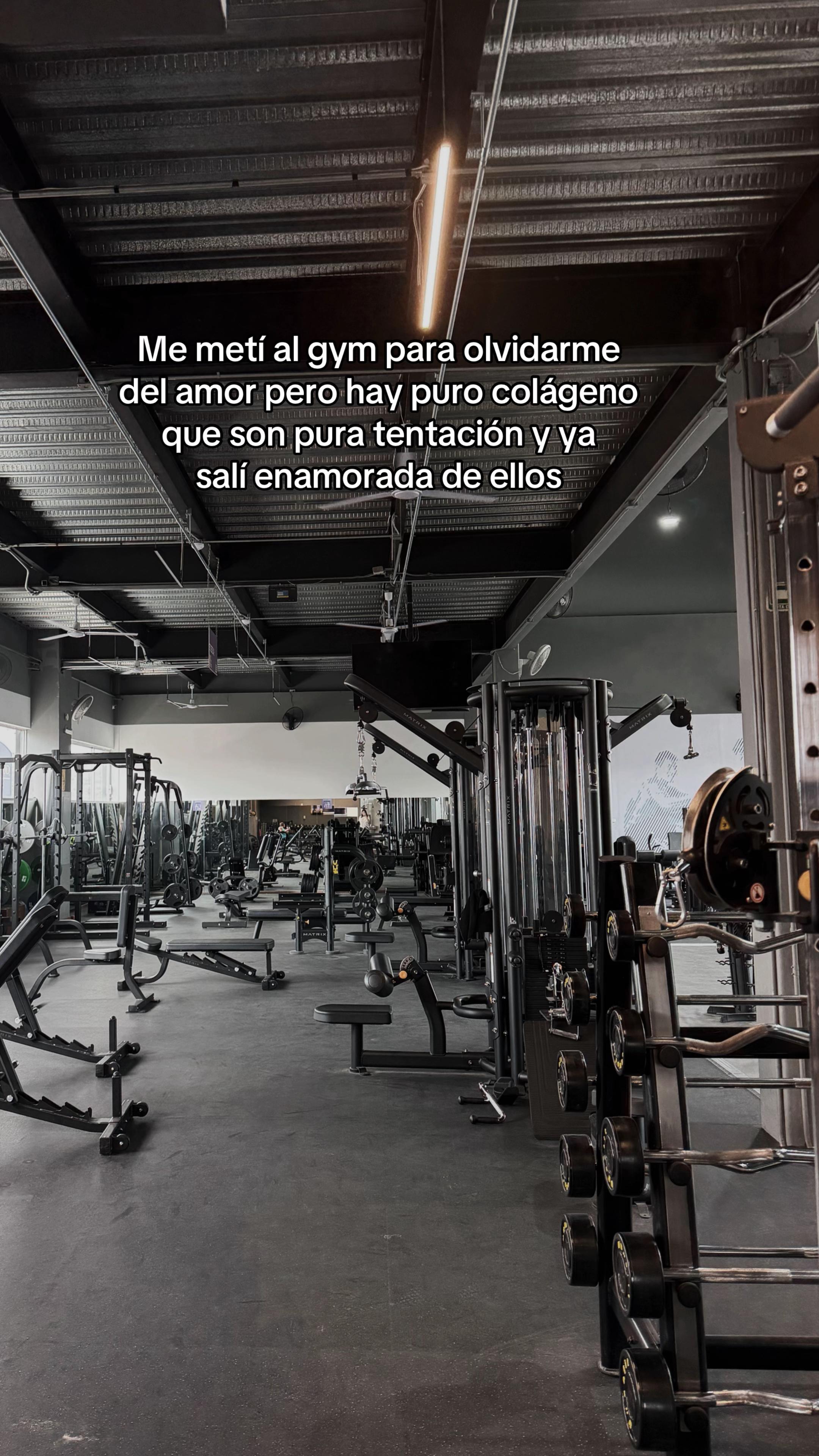 @LUISA