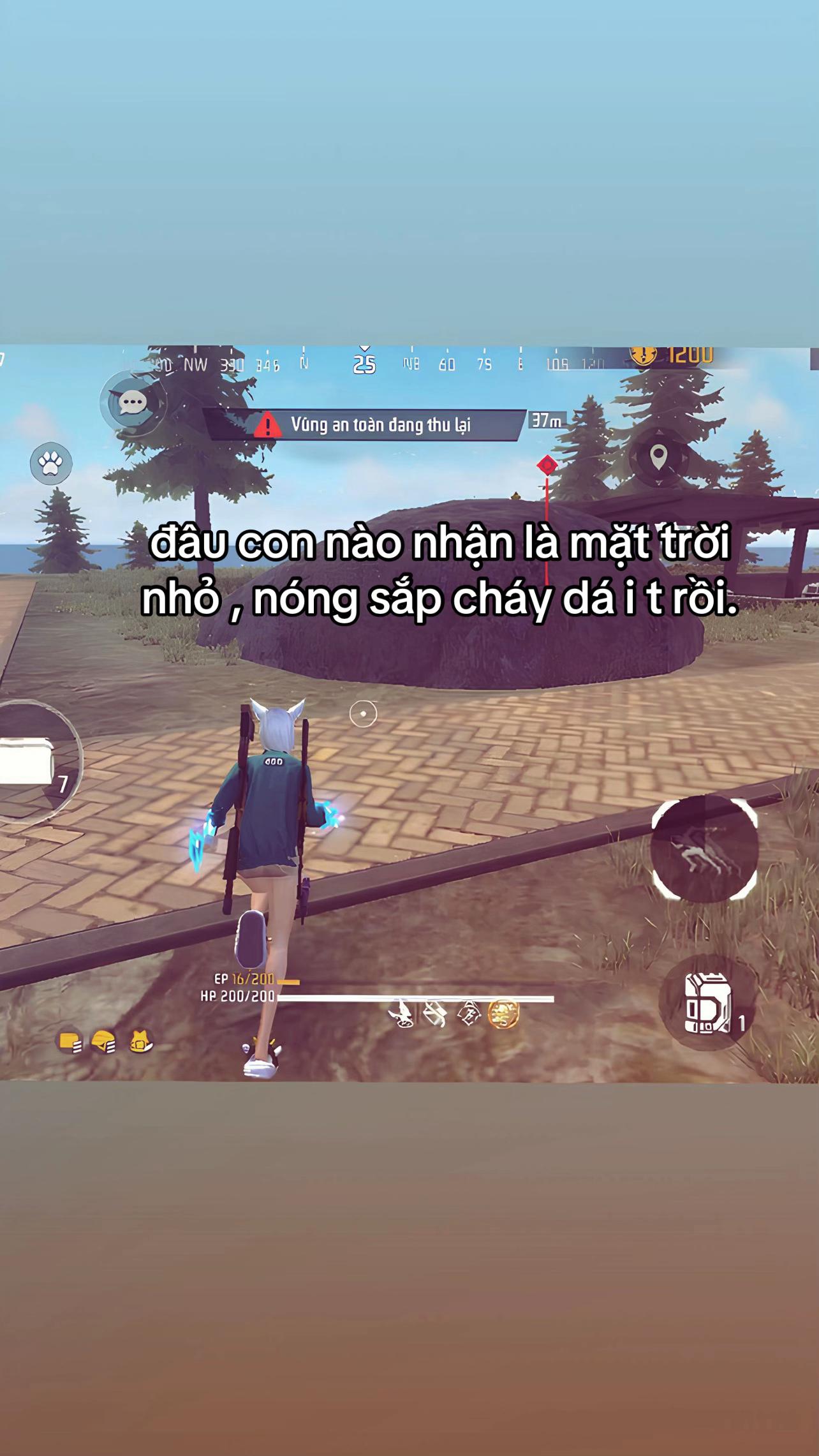 @c&aacute; ngừ nước s&ocirc;ng