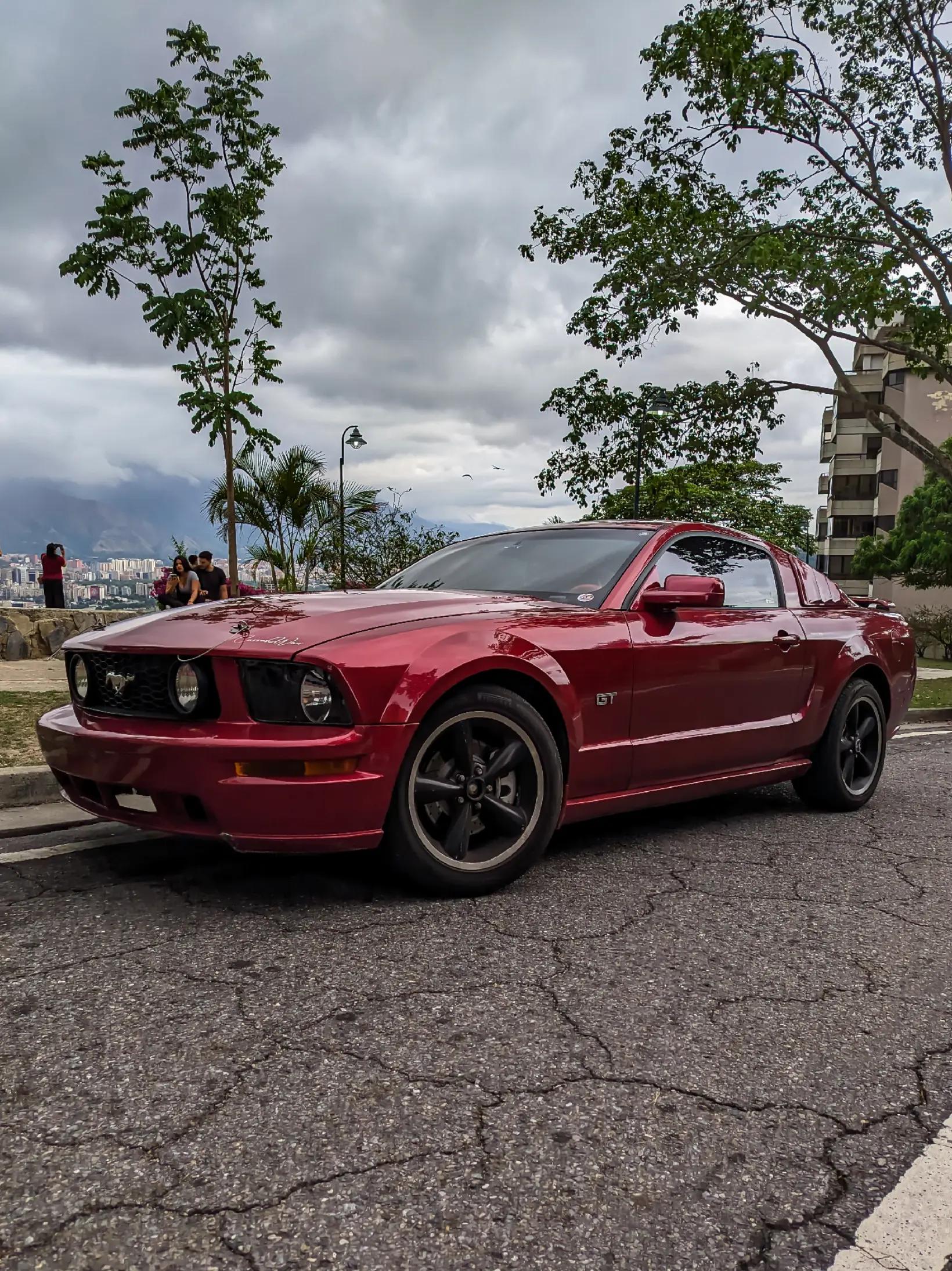 @Paradise Cars