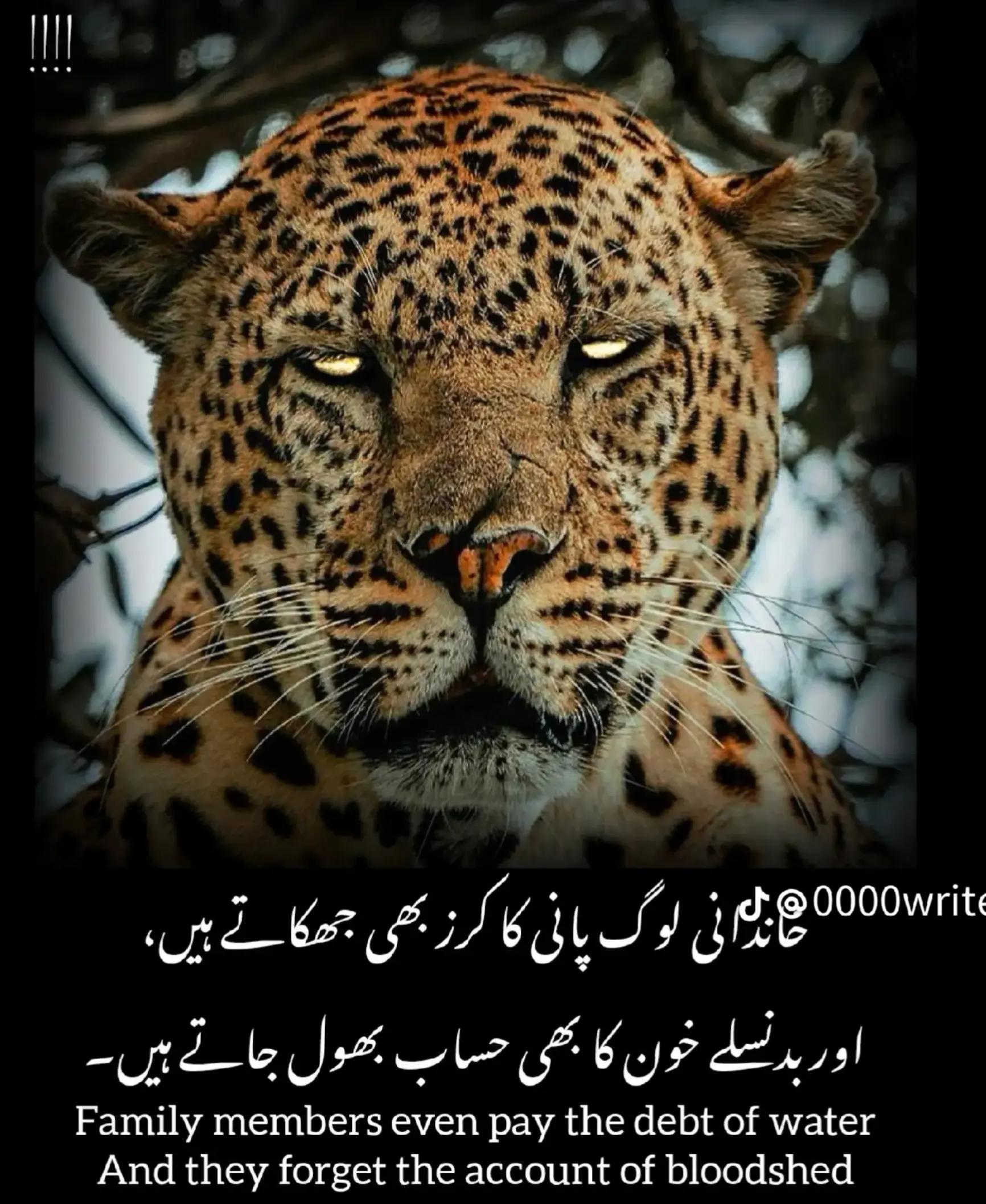 @zeebhutta0-Offical.