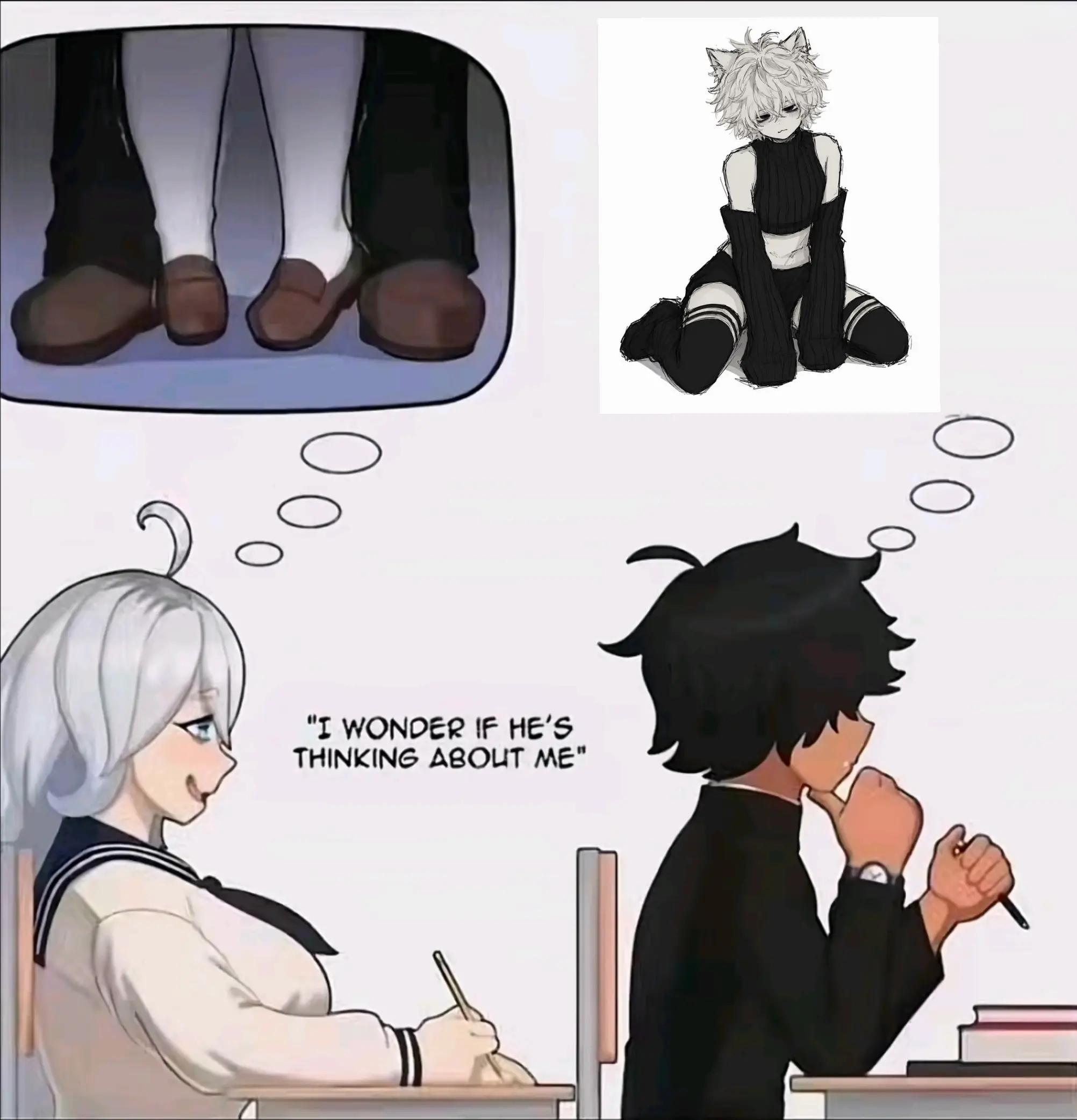 @munchkincatboy