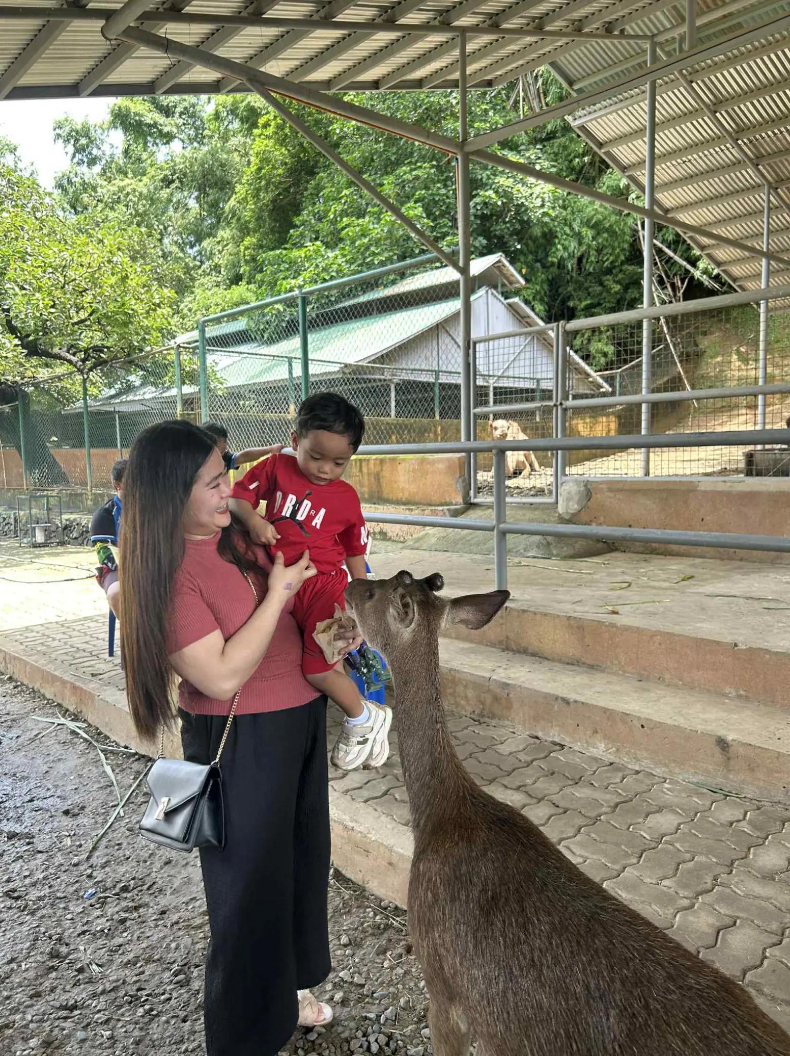 @edmaLyn03๐ ๐ฉบ