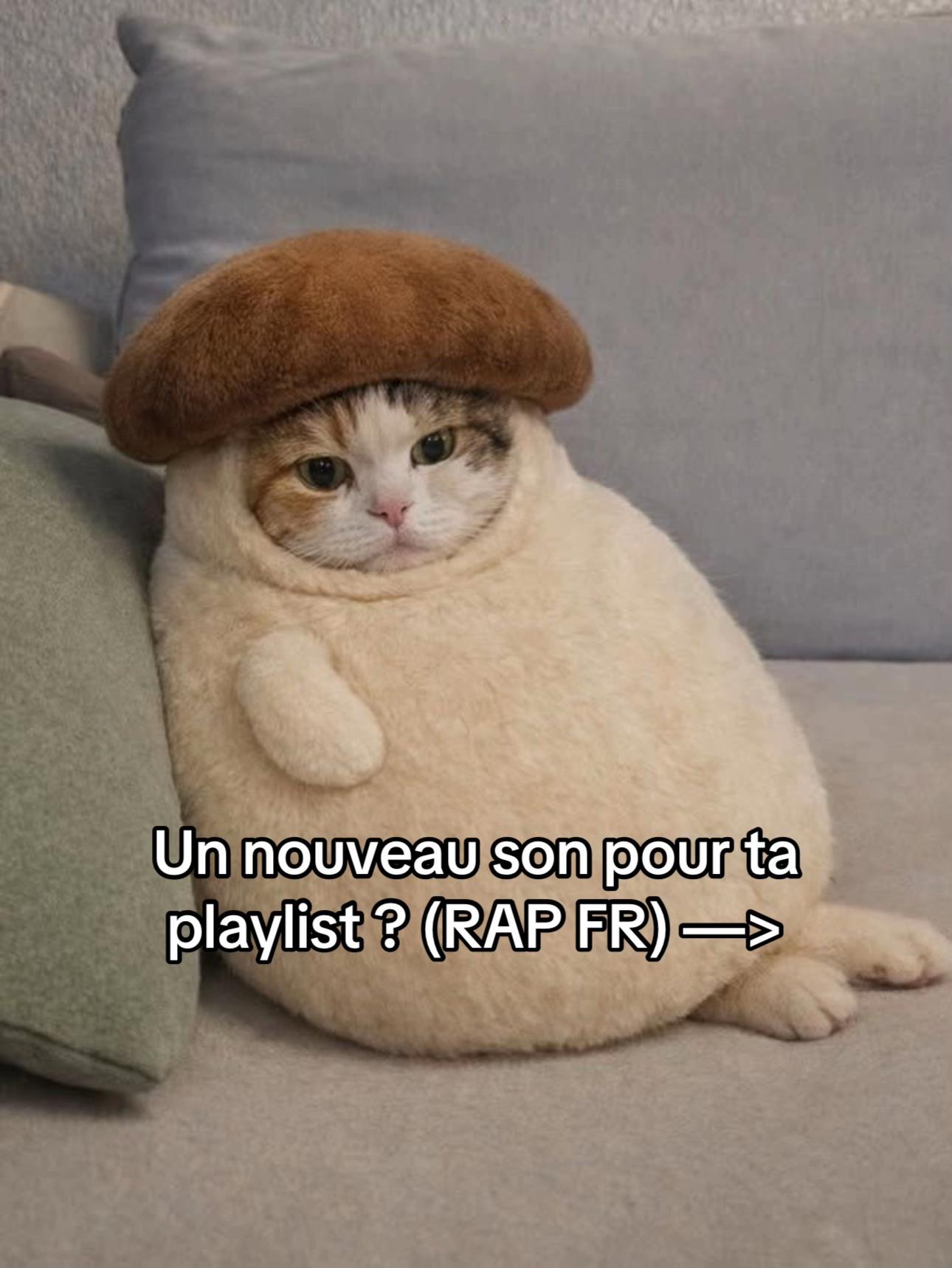 @Mario