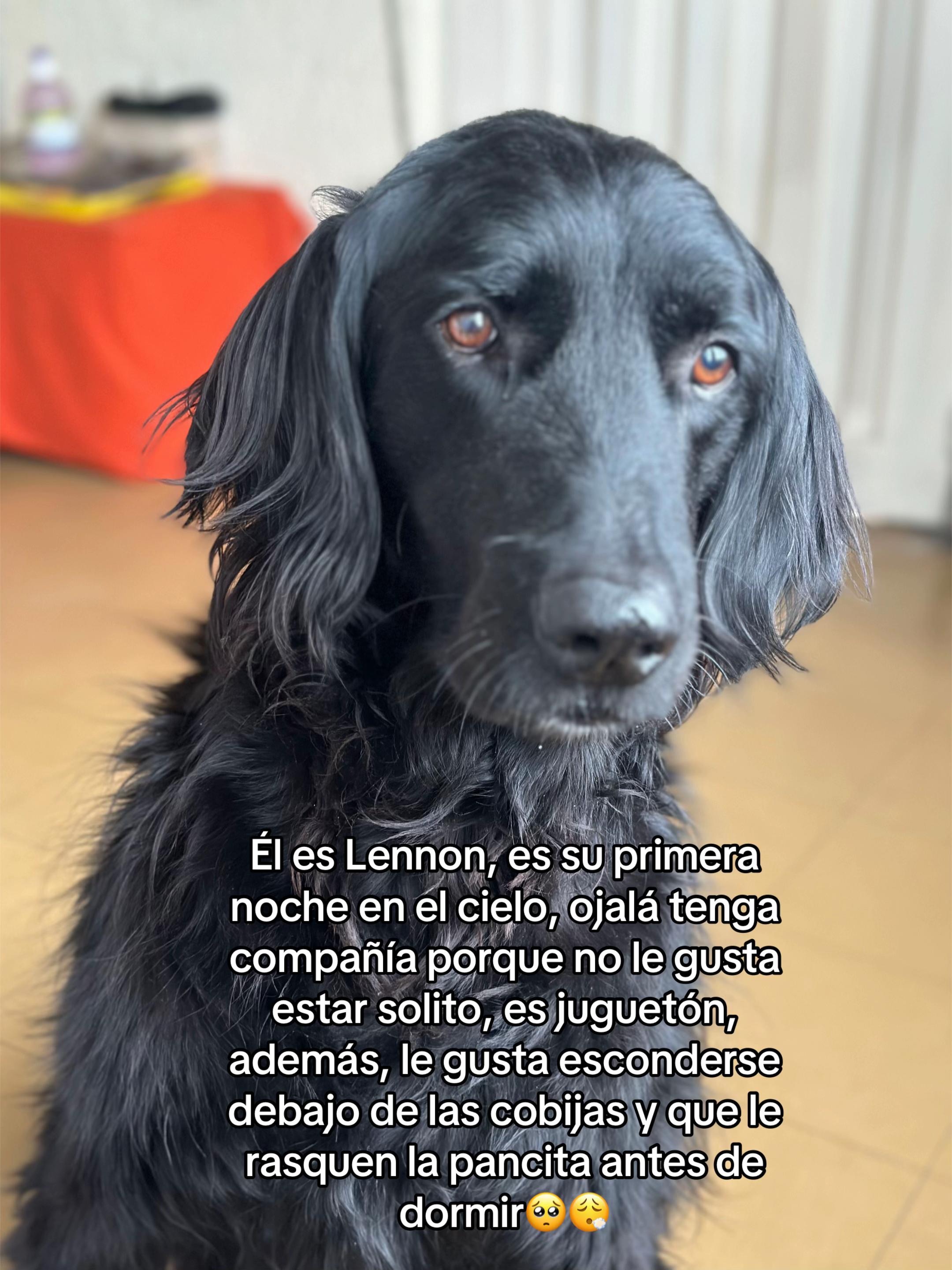 @💜 Vane E.💜