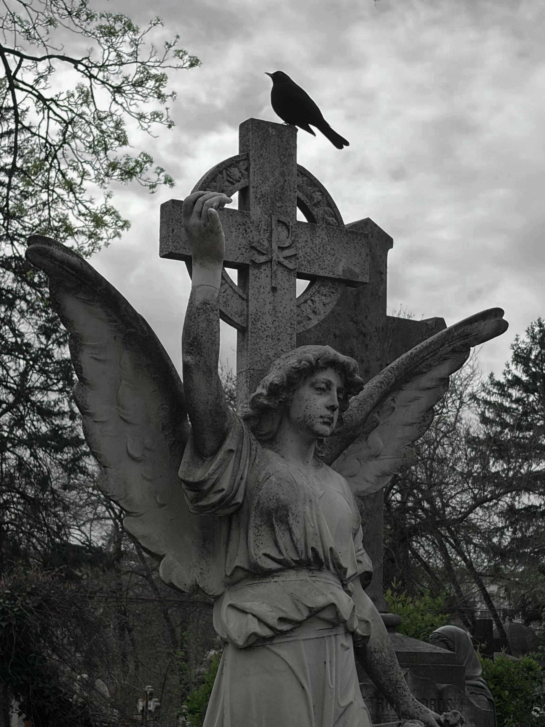 @𝕴𝖗𝖊𝖓𝖊