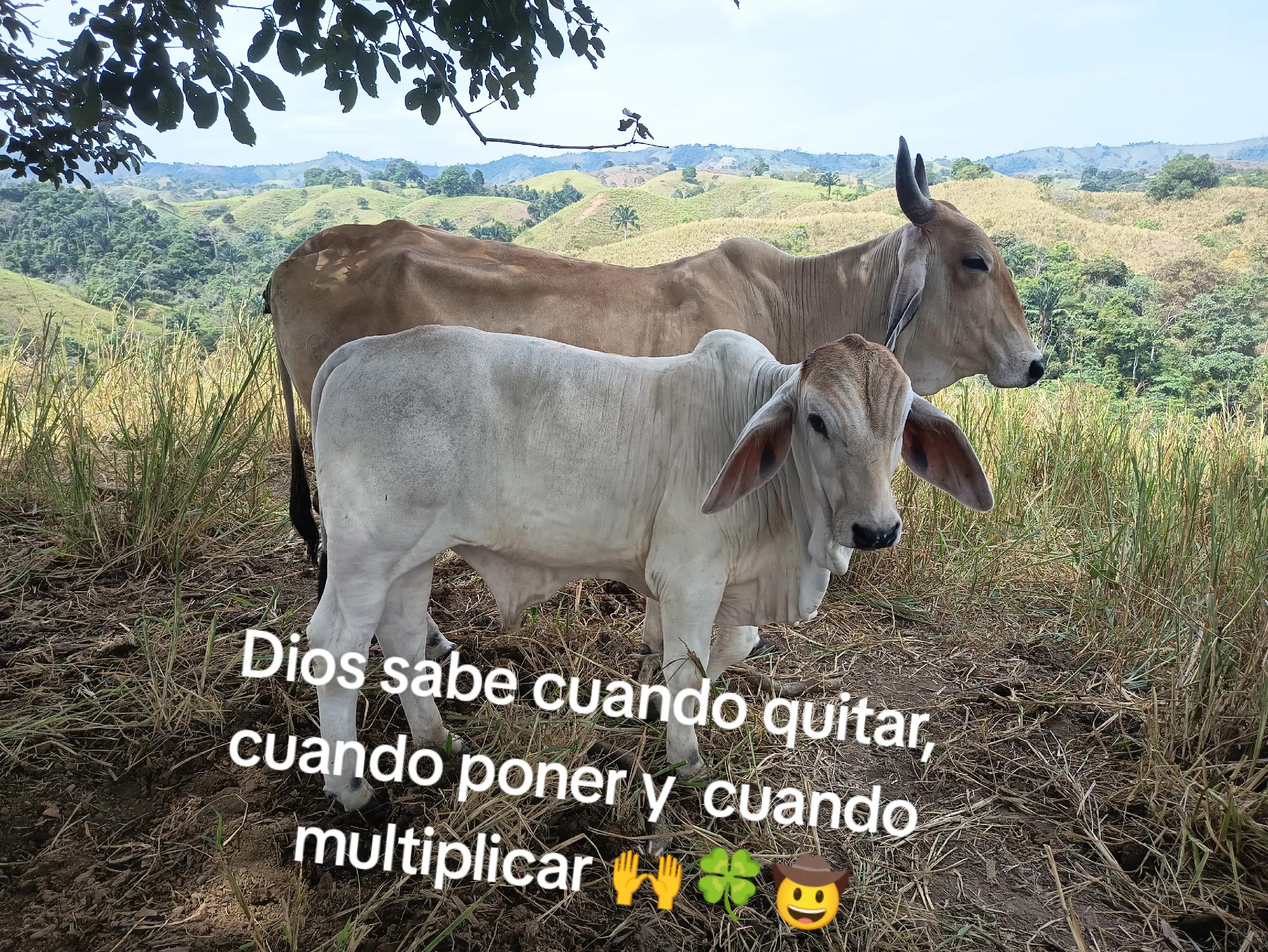 @Jean🤠