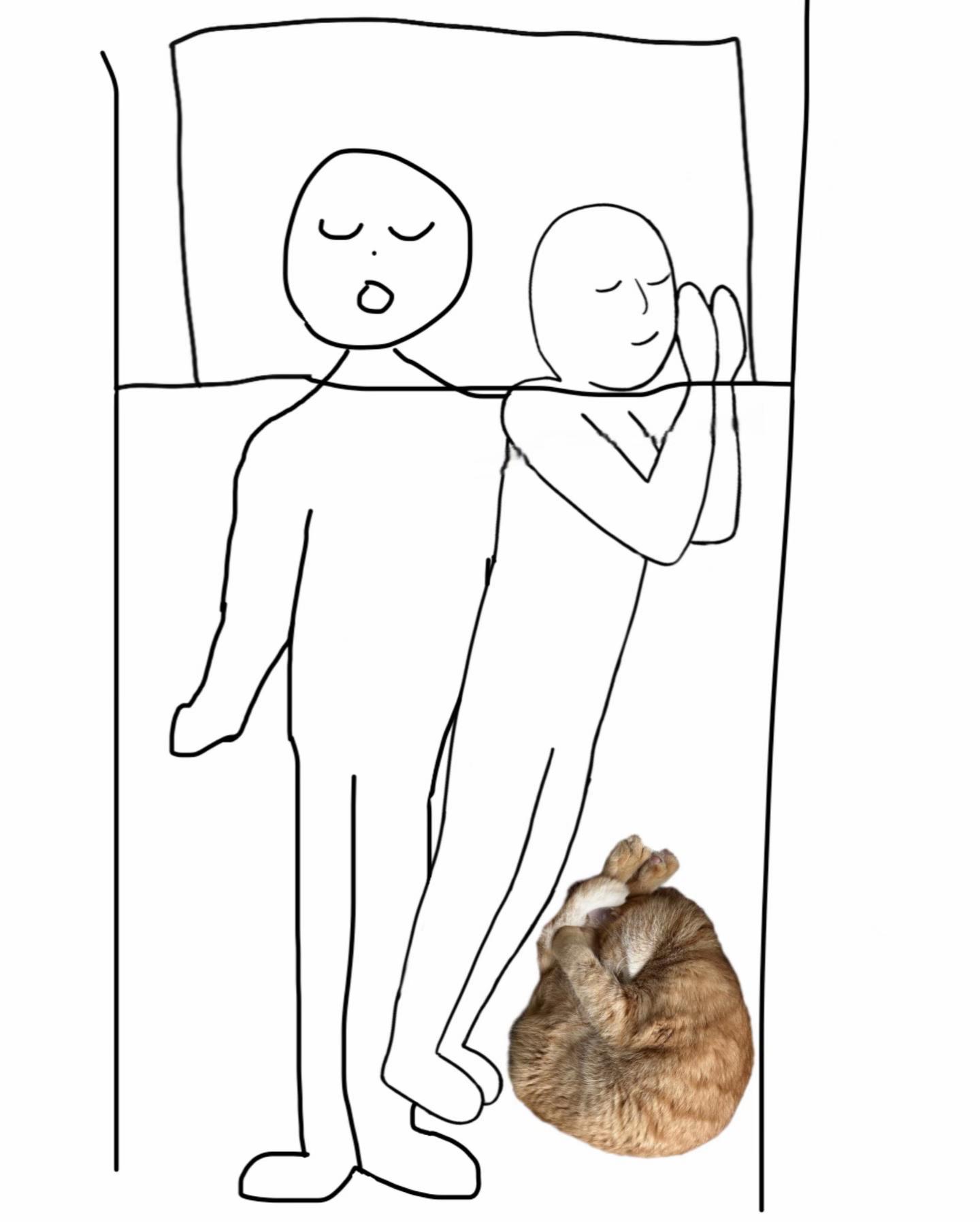@MyStrayCheese