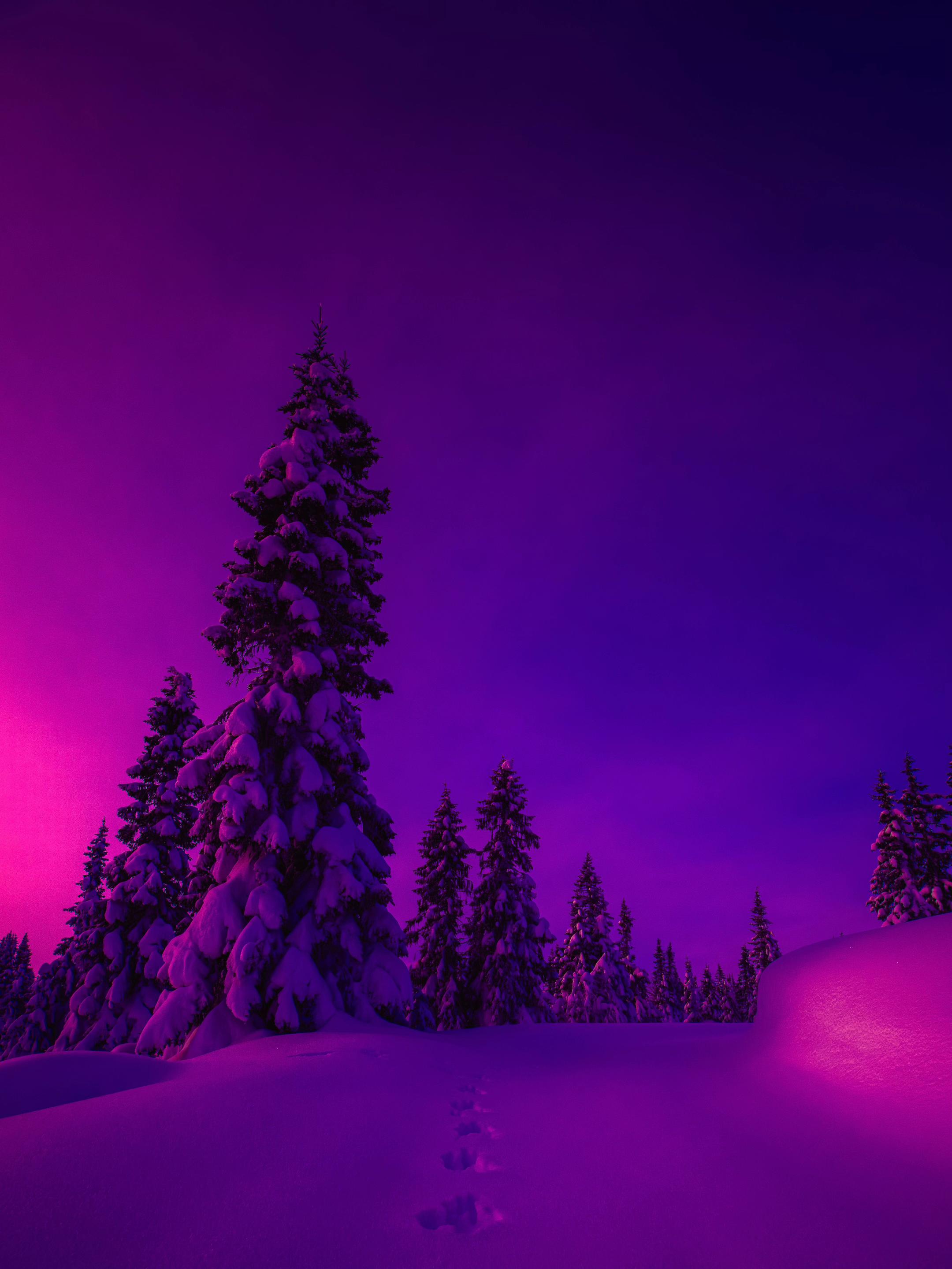 @Lush Visuals