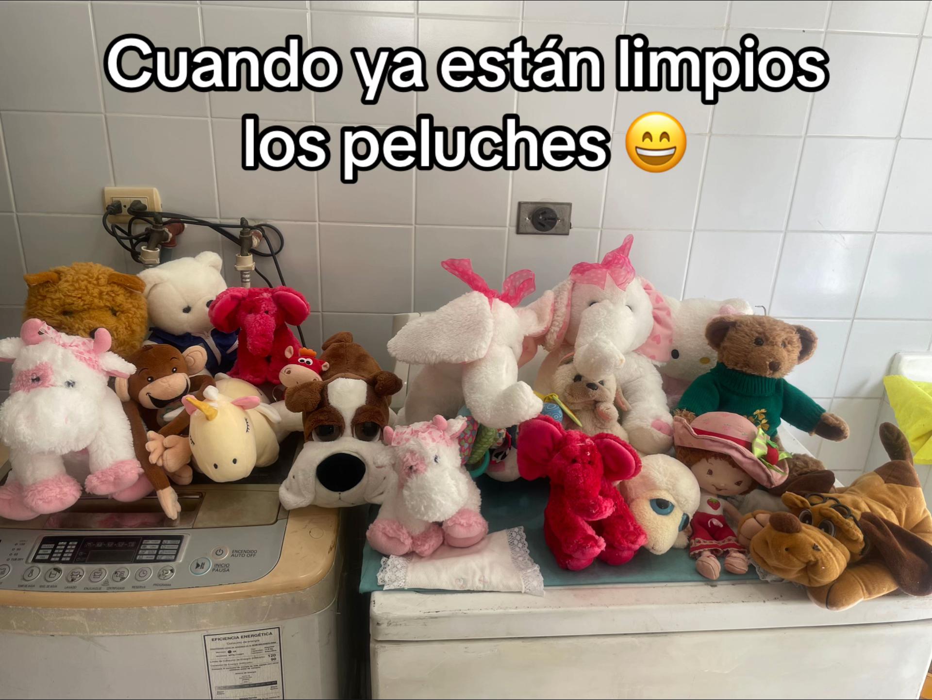 @sandra yepez