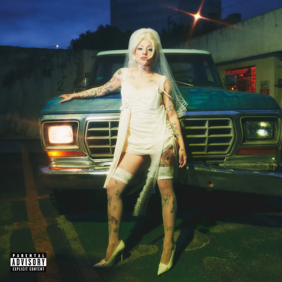 @️ ✮&rho;ꫀᦔ𝘳ꪮ ꪑꫀ𝘳ꪶ𝓲ꪀ✮