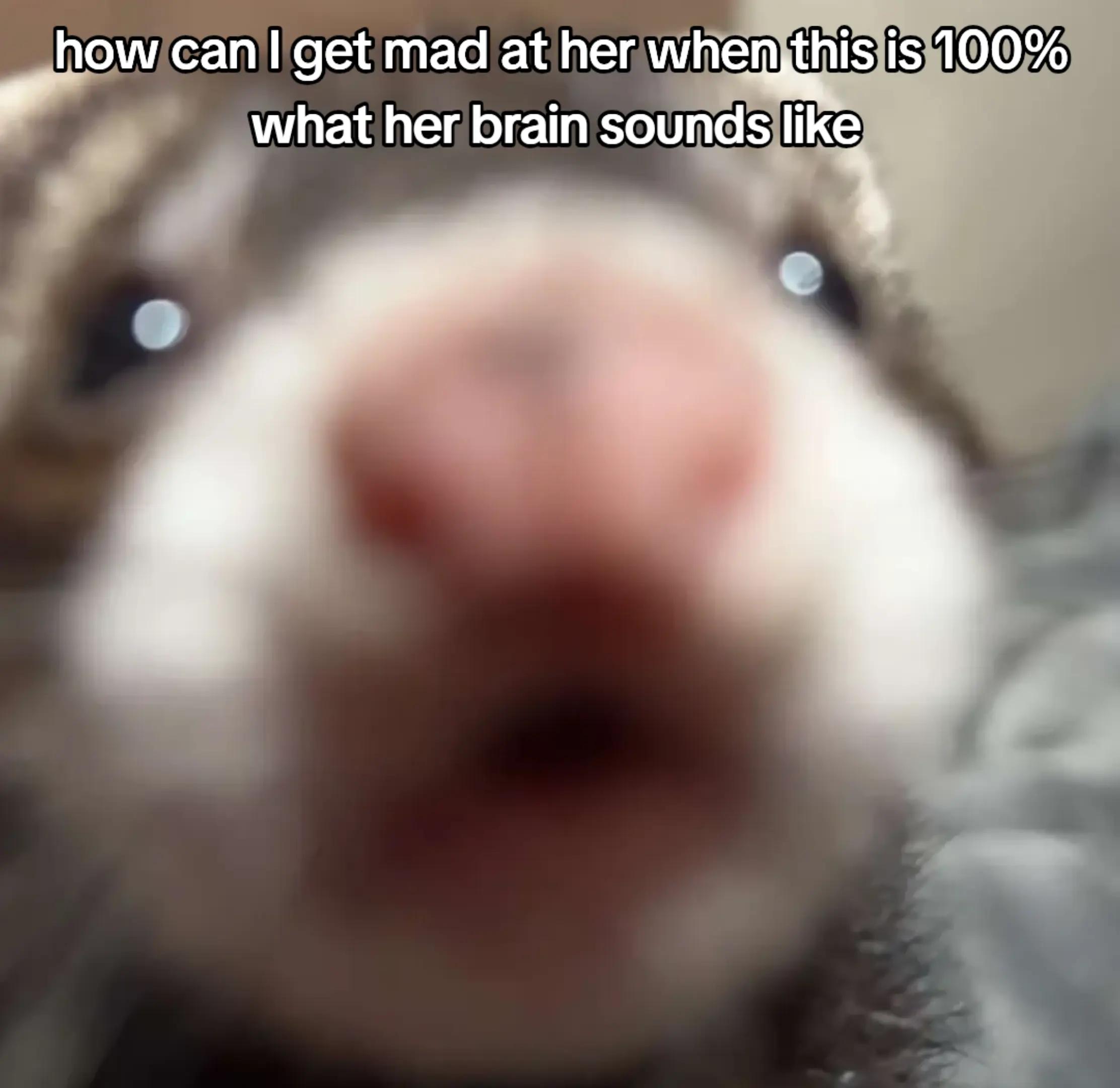 @decayincr0w