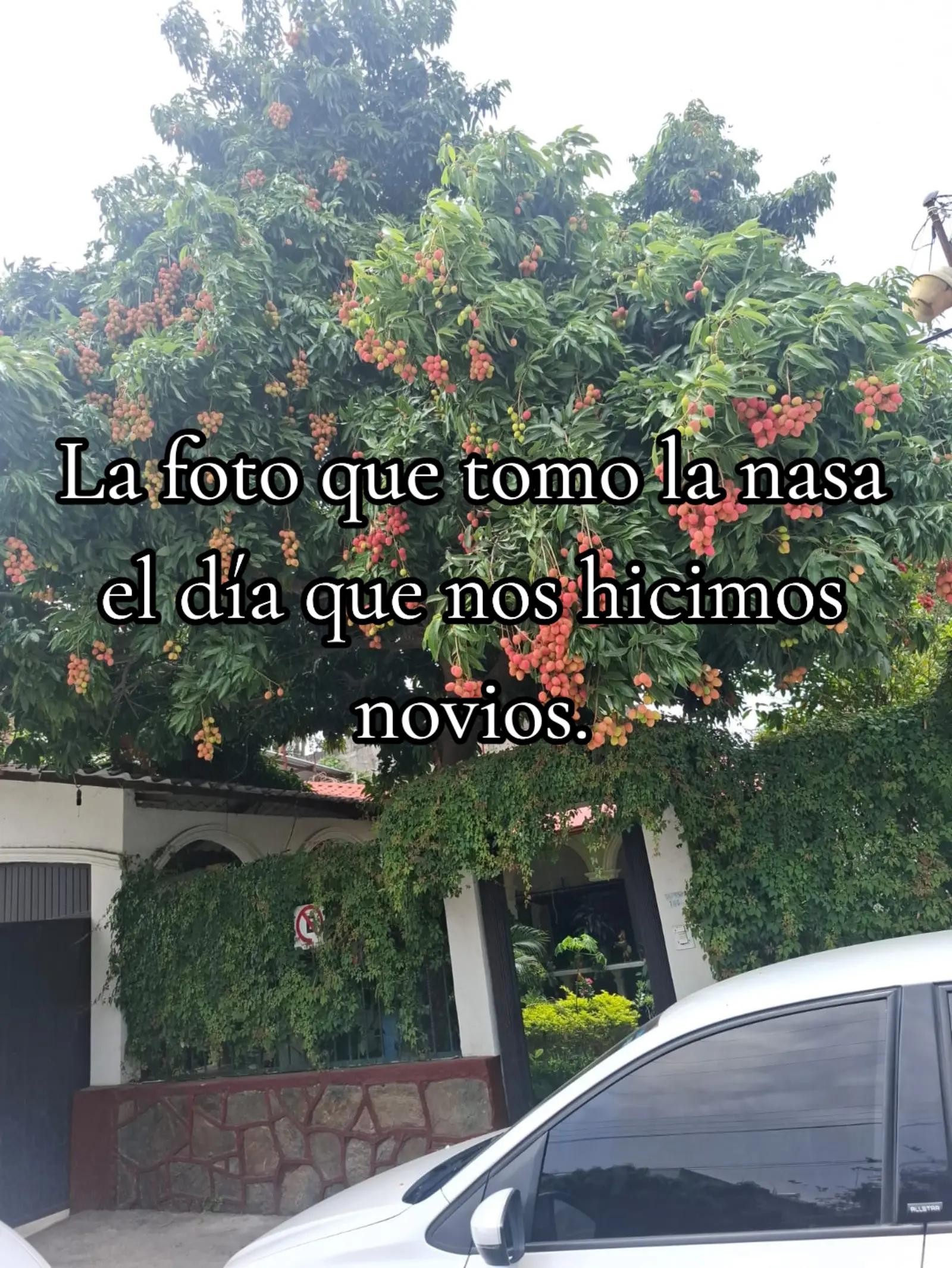 @Vero🧚🏻♀️