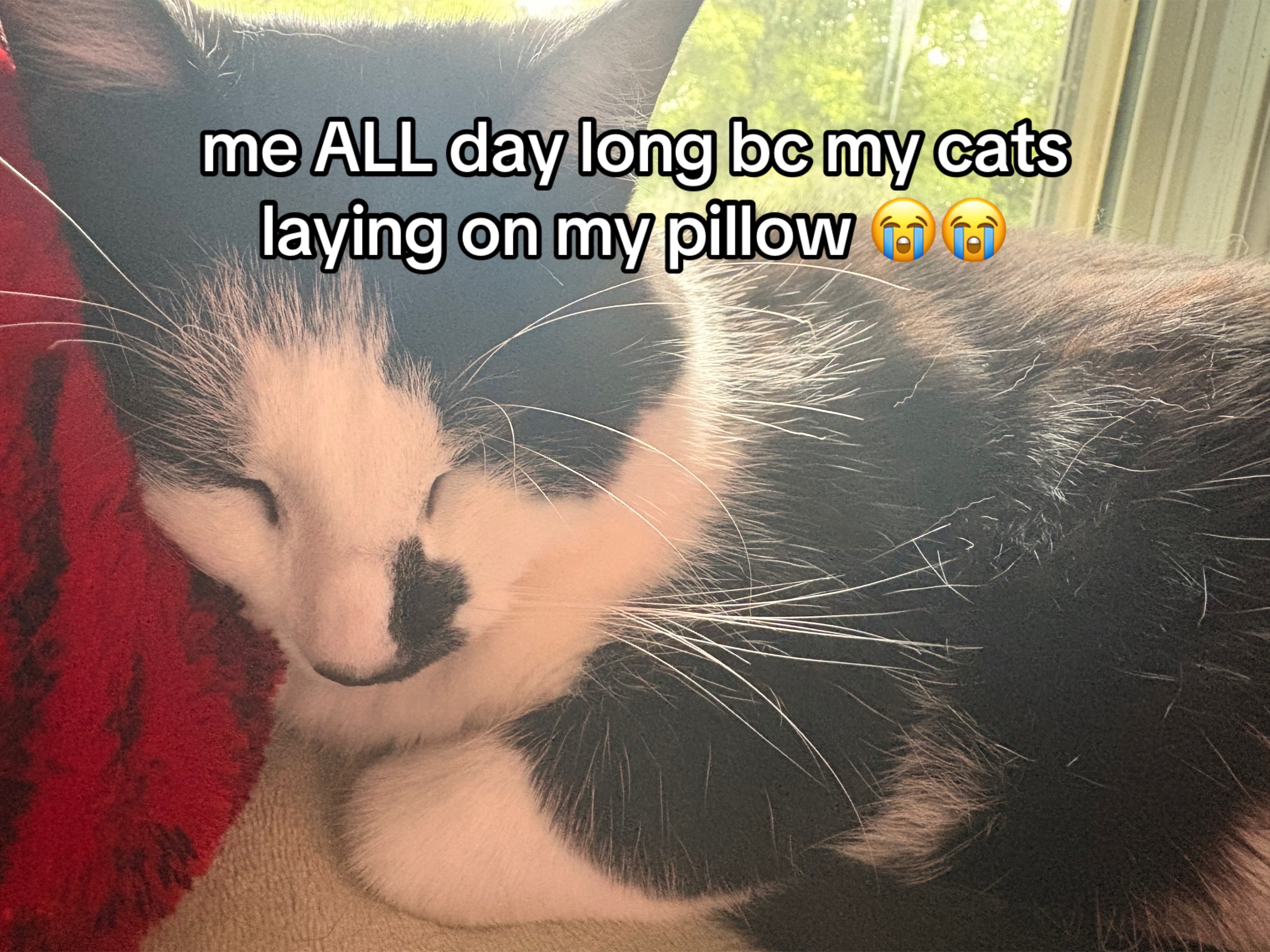 @<3
