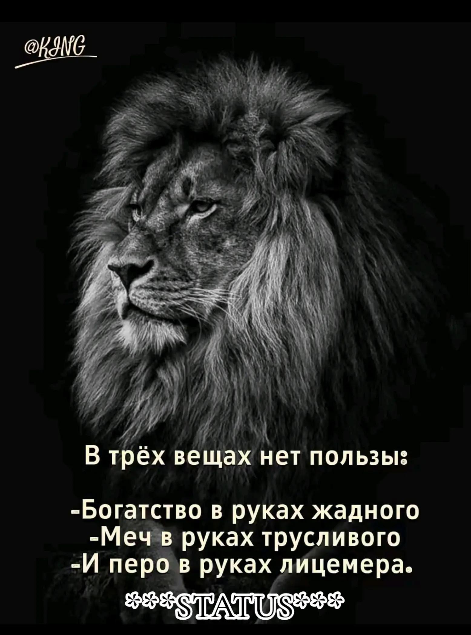 @🎩🎩*Arman_81*🎩🎩