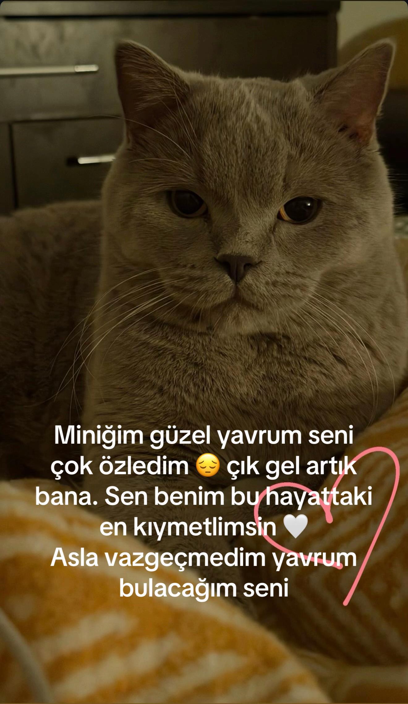 @BULUT KAYIP