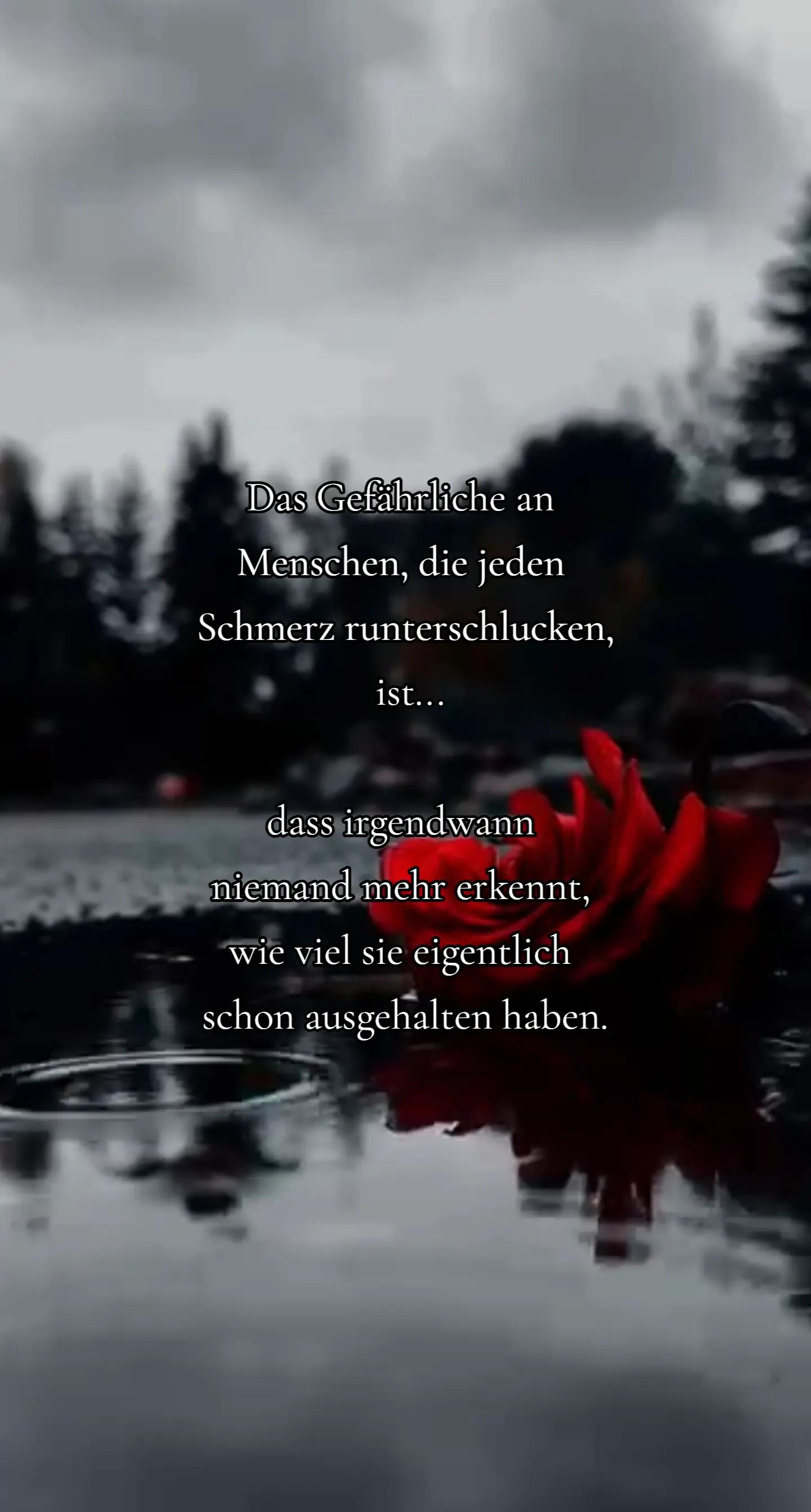 @🇨🇭Mike B&auml;r🇨🇭