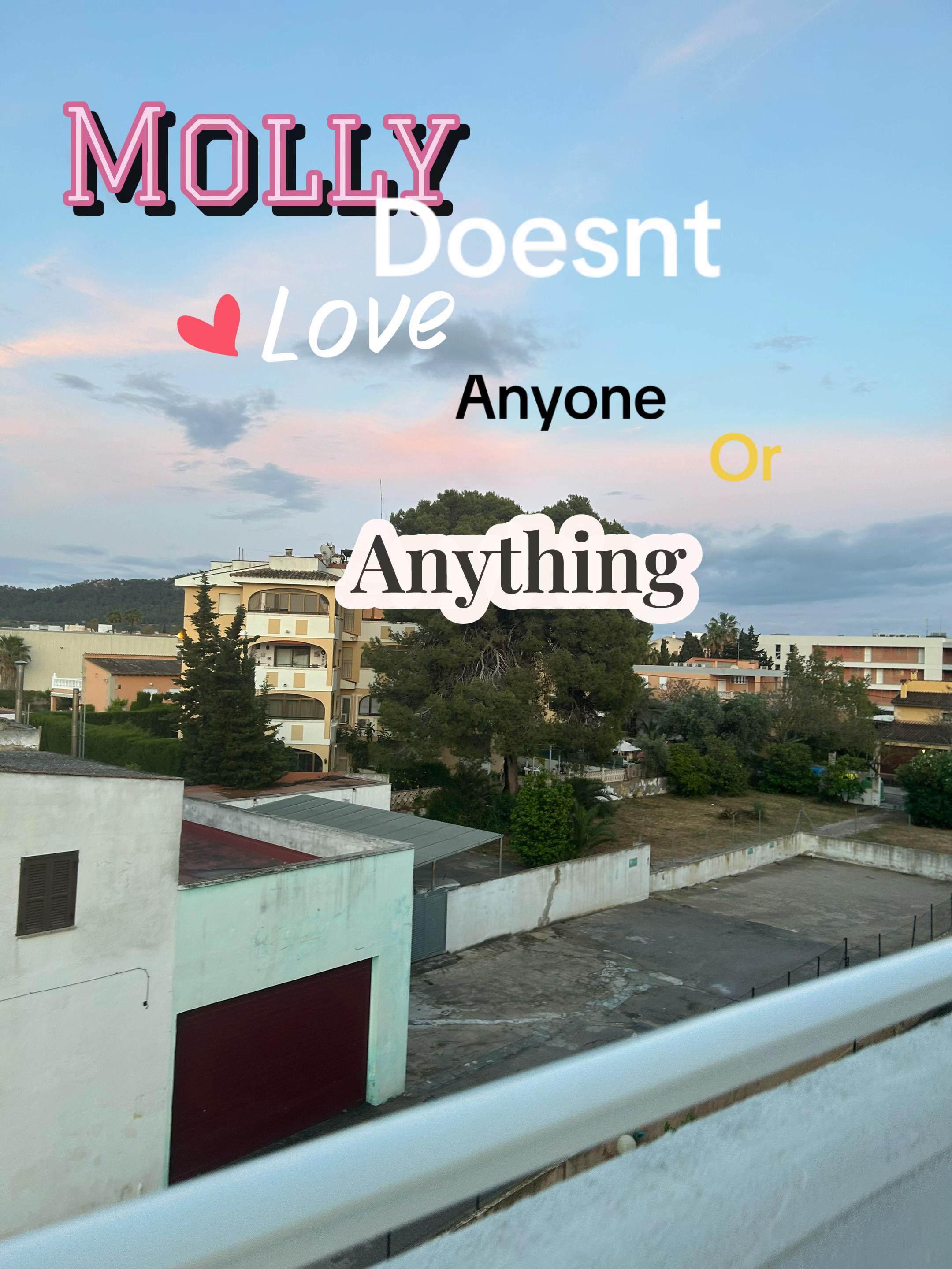 @Molly🤍🫰🏻
