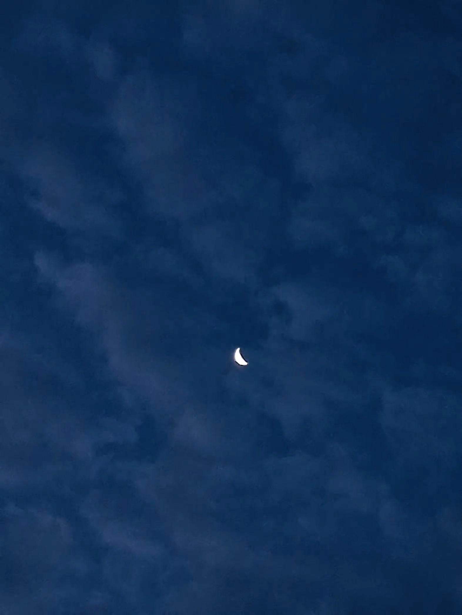 @ᴀʟɪꜱꜱᴀ🍀🪿