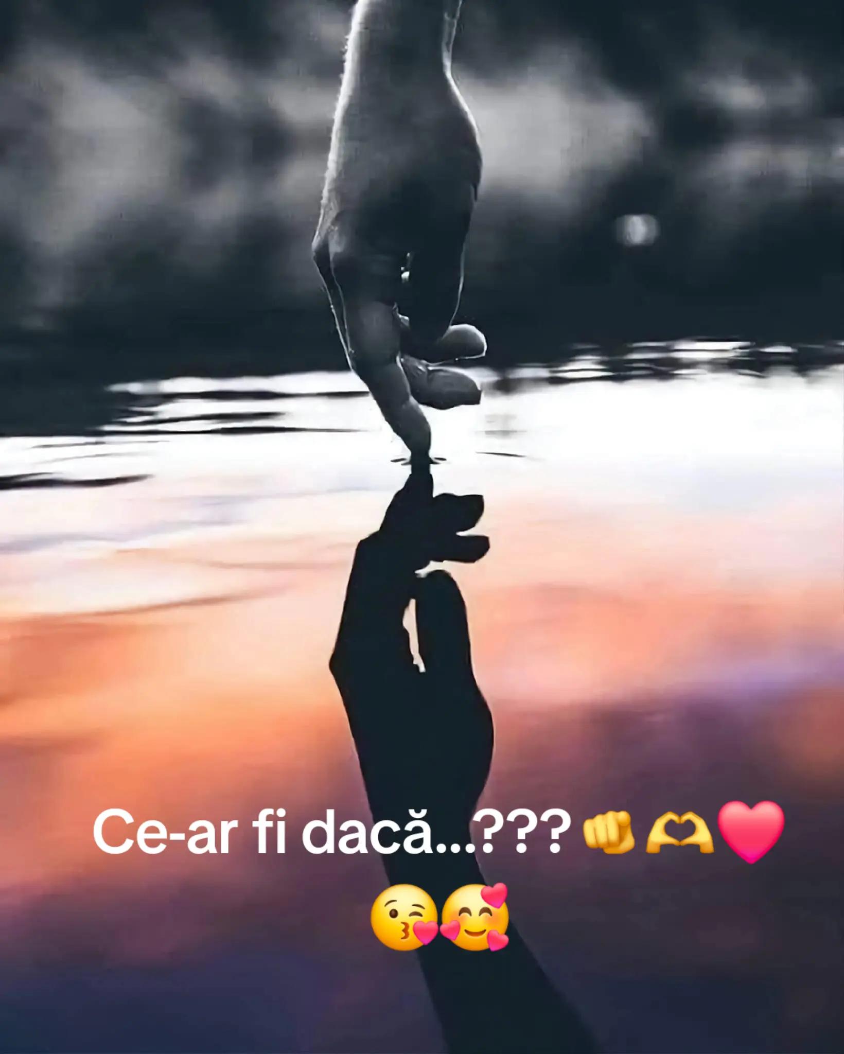 @DarioMario