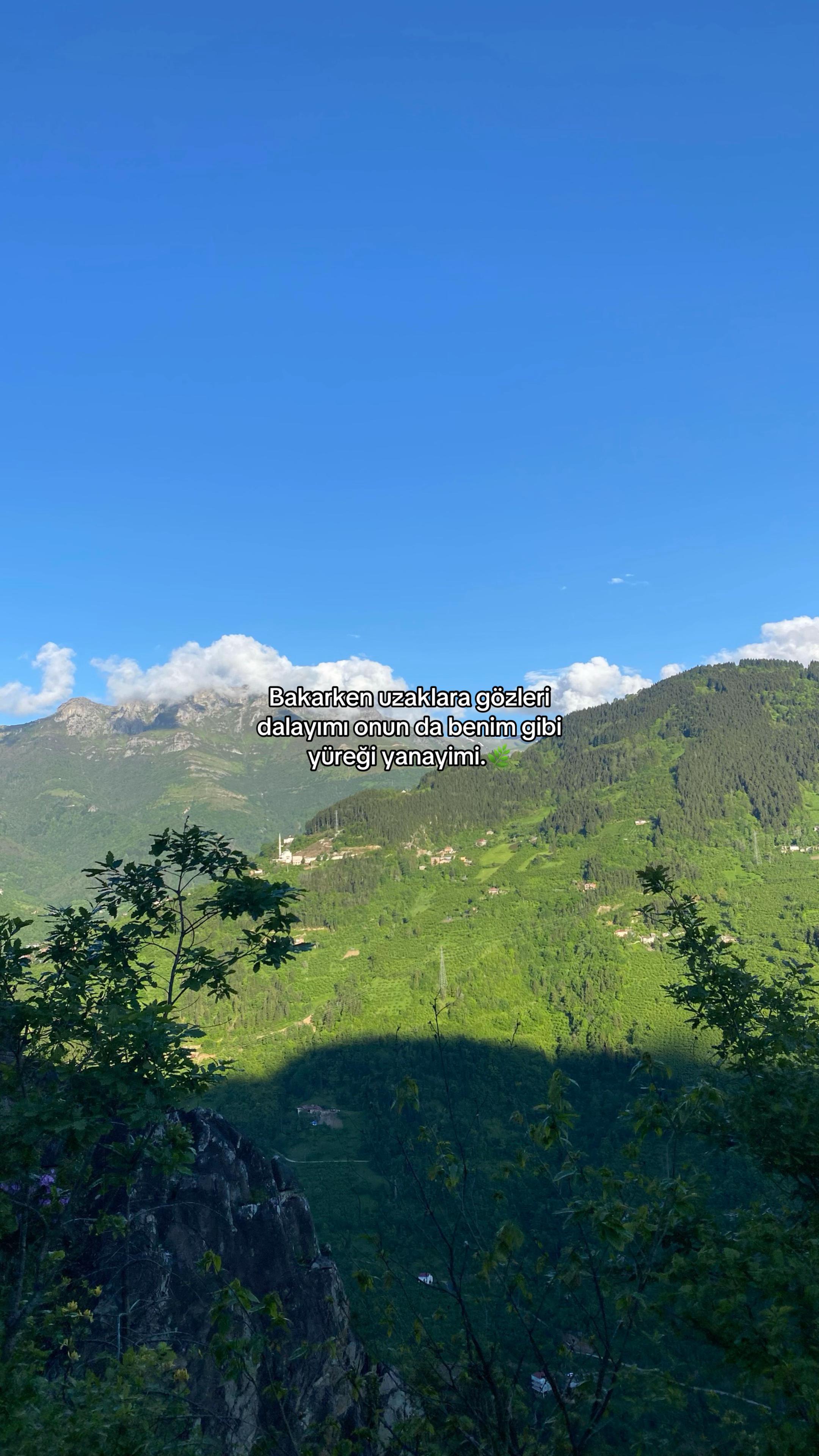 @61.