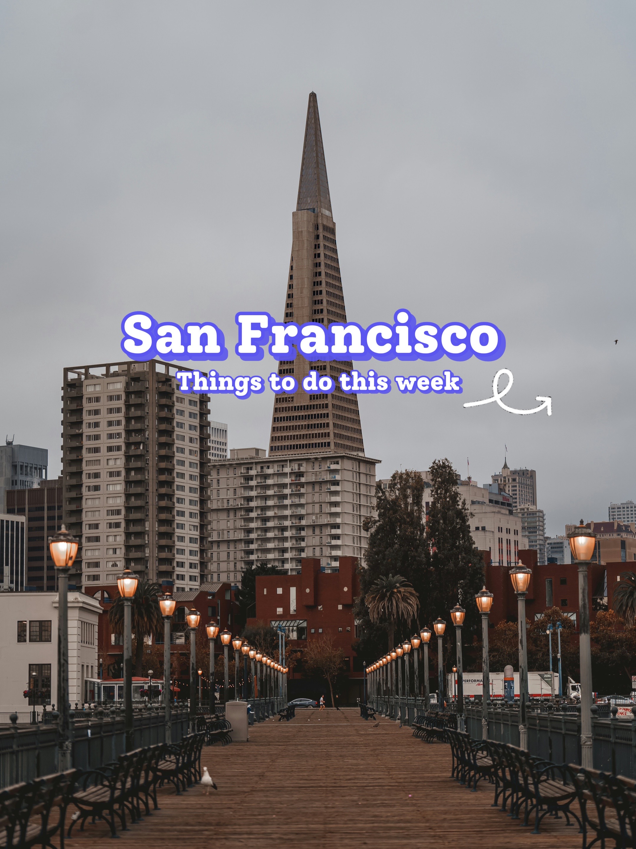 @Andrew Tours SF