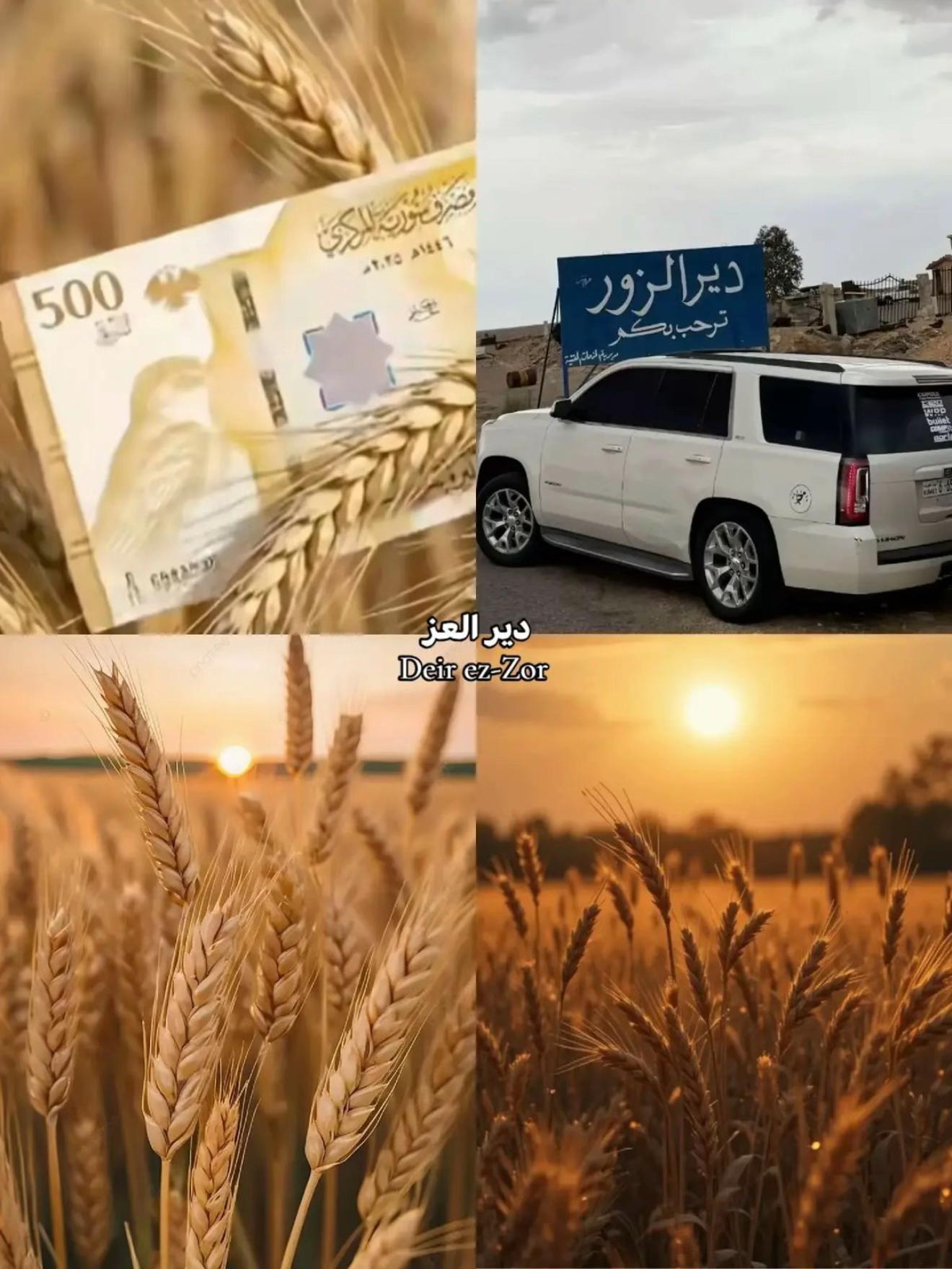 @elarabi.o7