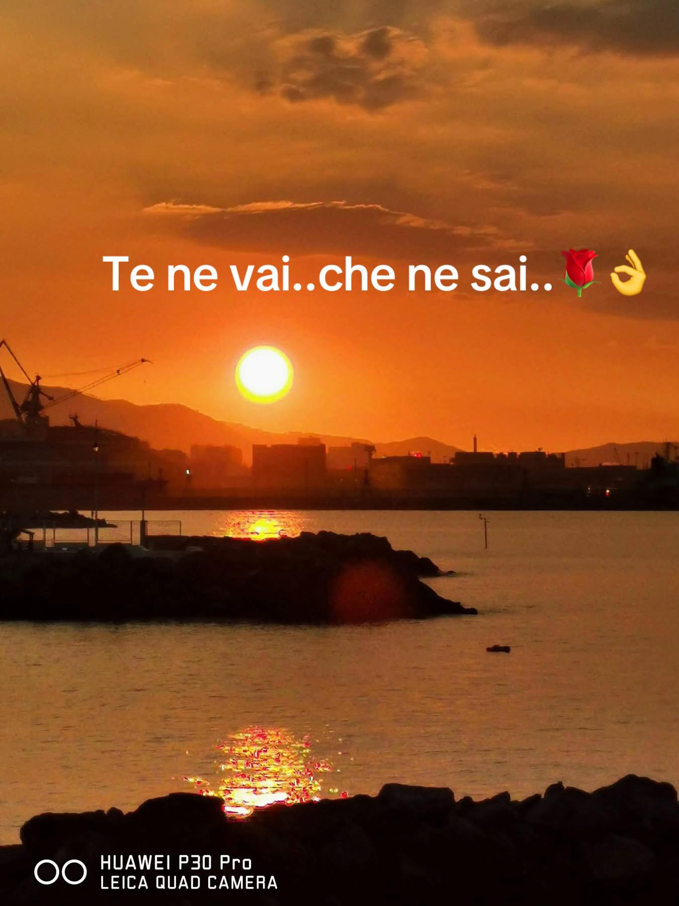 @rosi19032