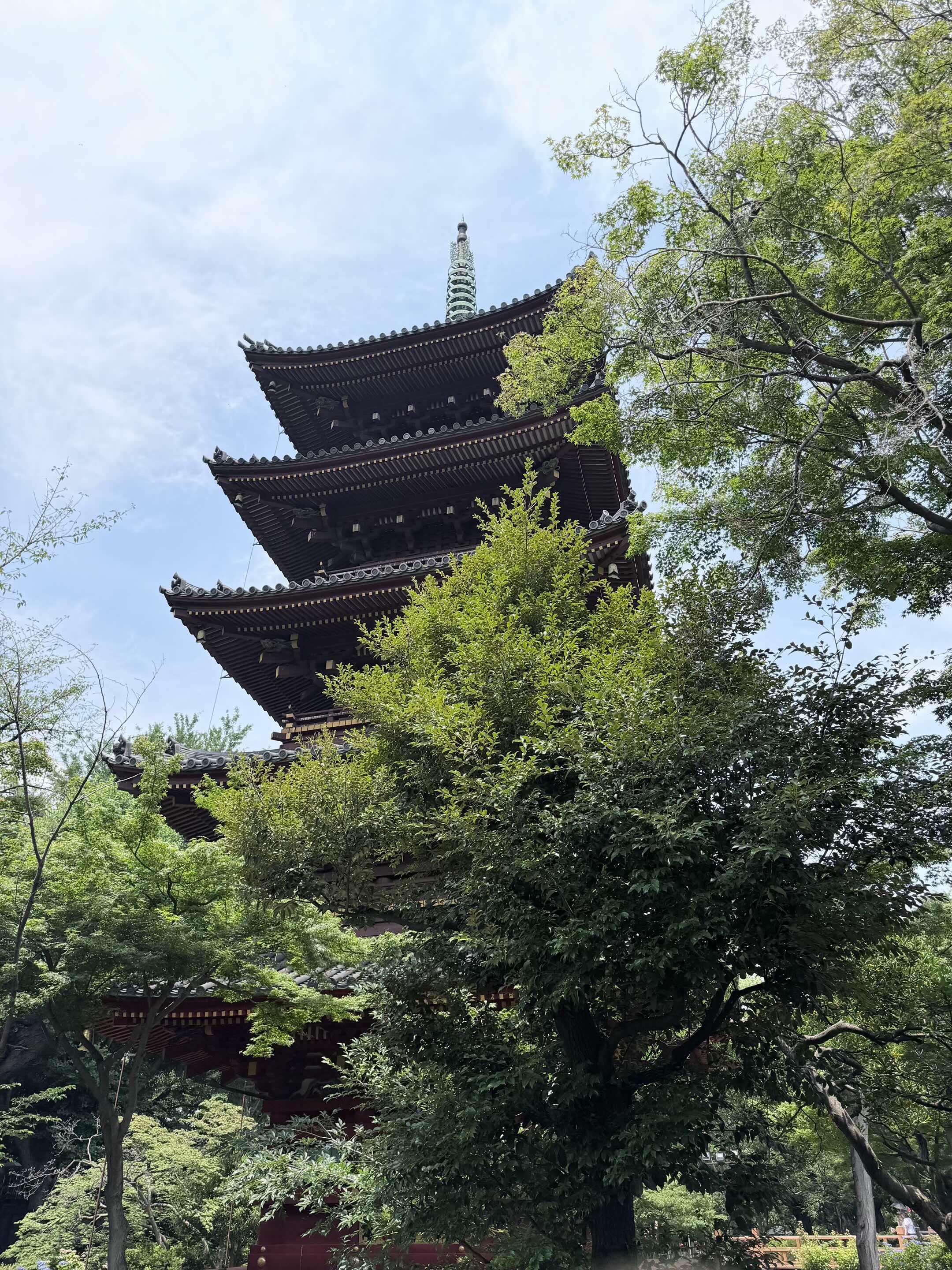 @𝐒𝐮𝐉𝐚𝐧♡🇯🇵🇳🇵