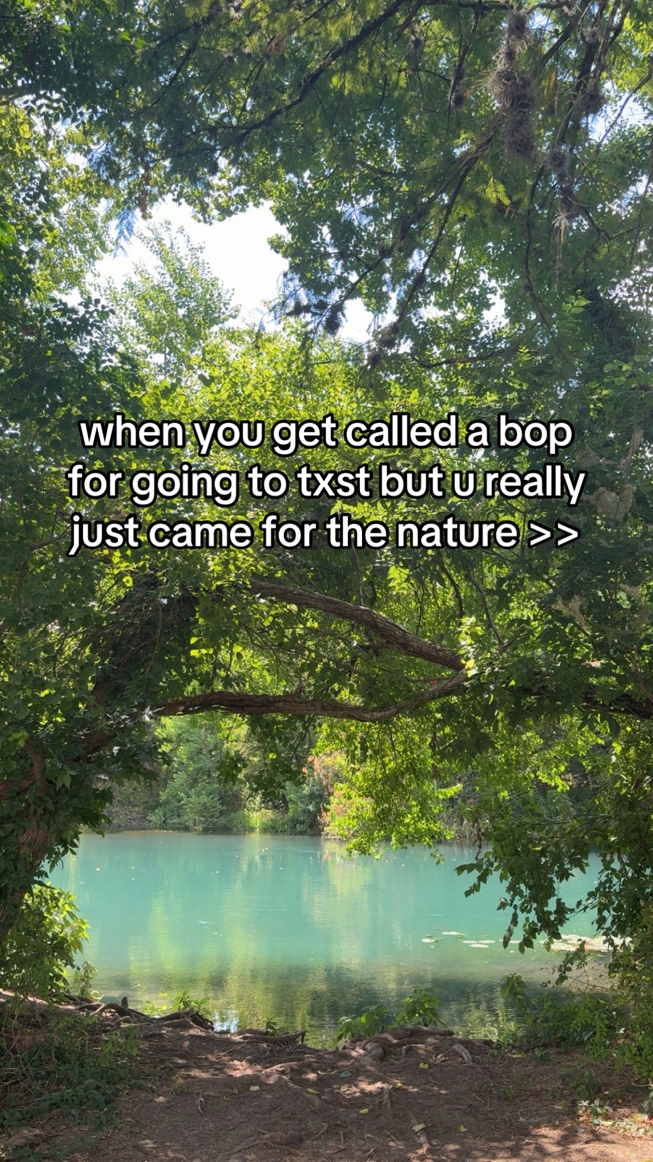 @☀️ɐʎǝɐɹ