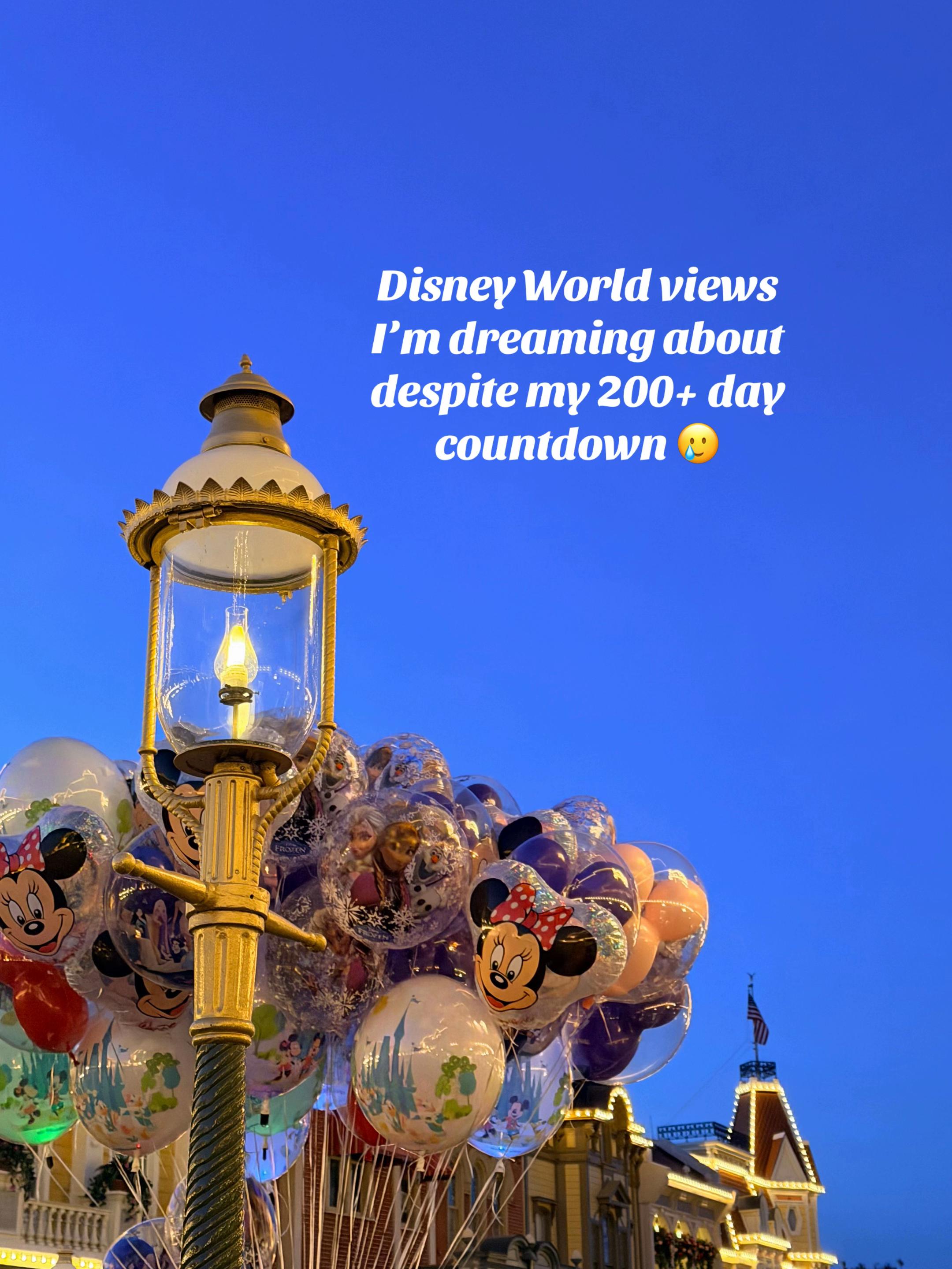 @✨🦖 Rachel&rsquo;s in Orlando 🐭🎢