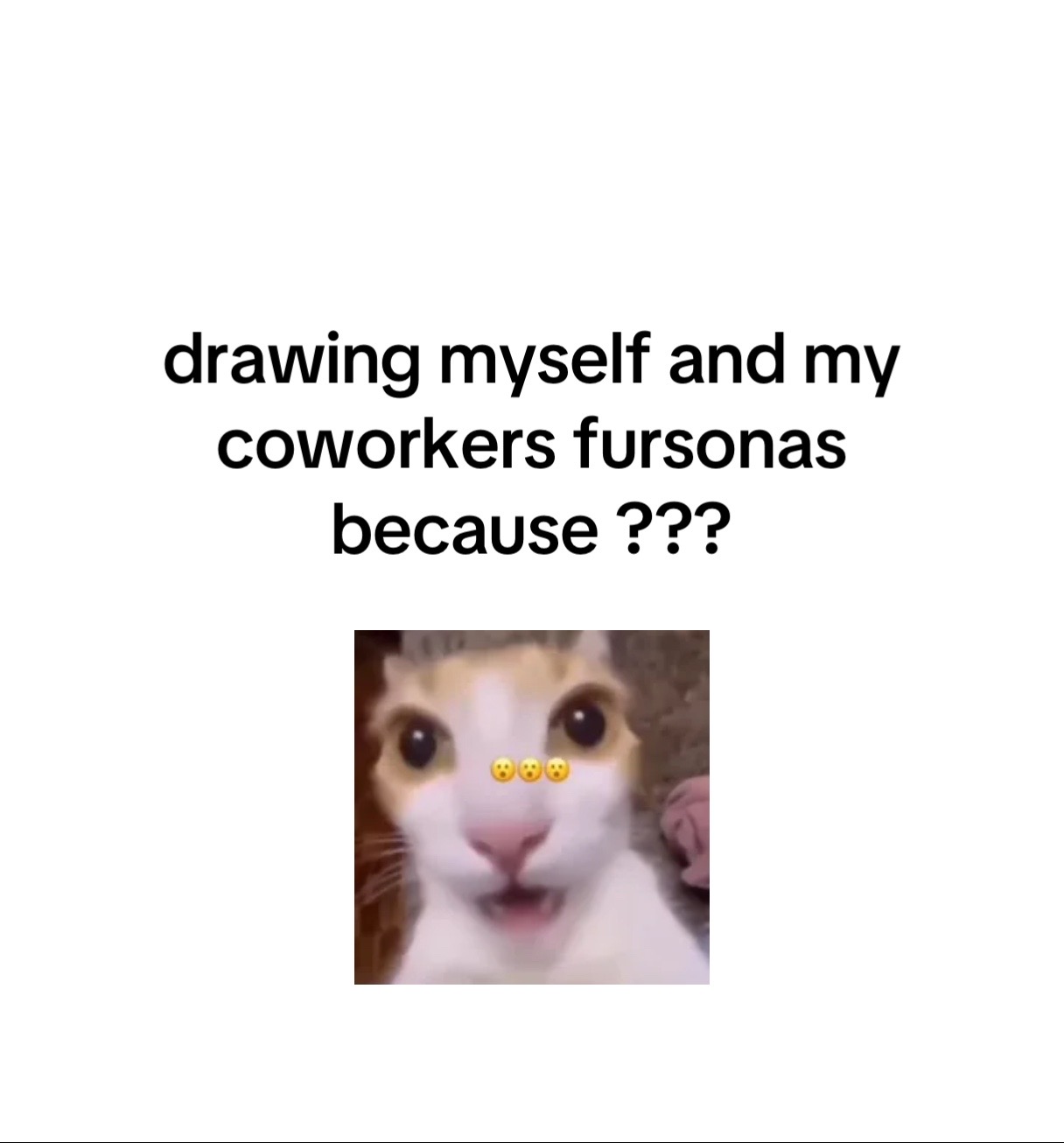 @kayo