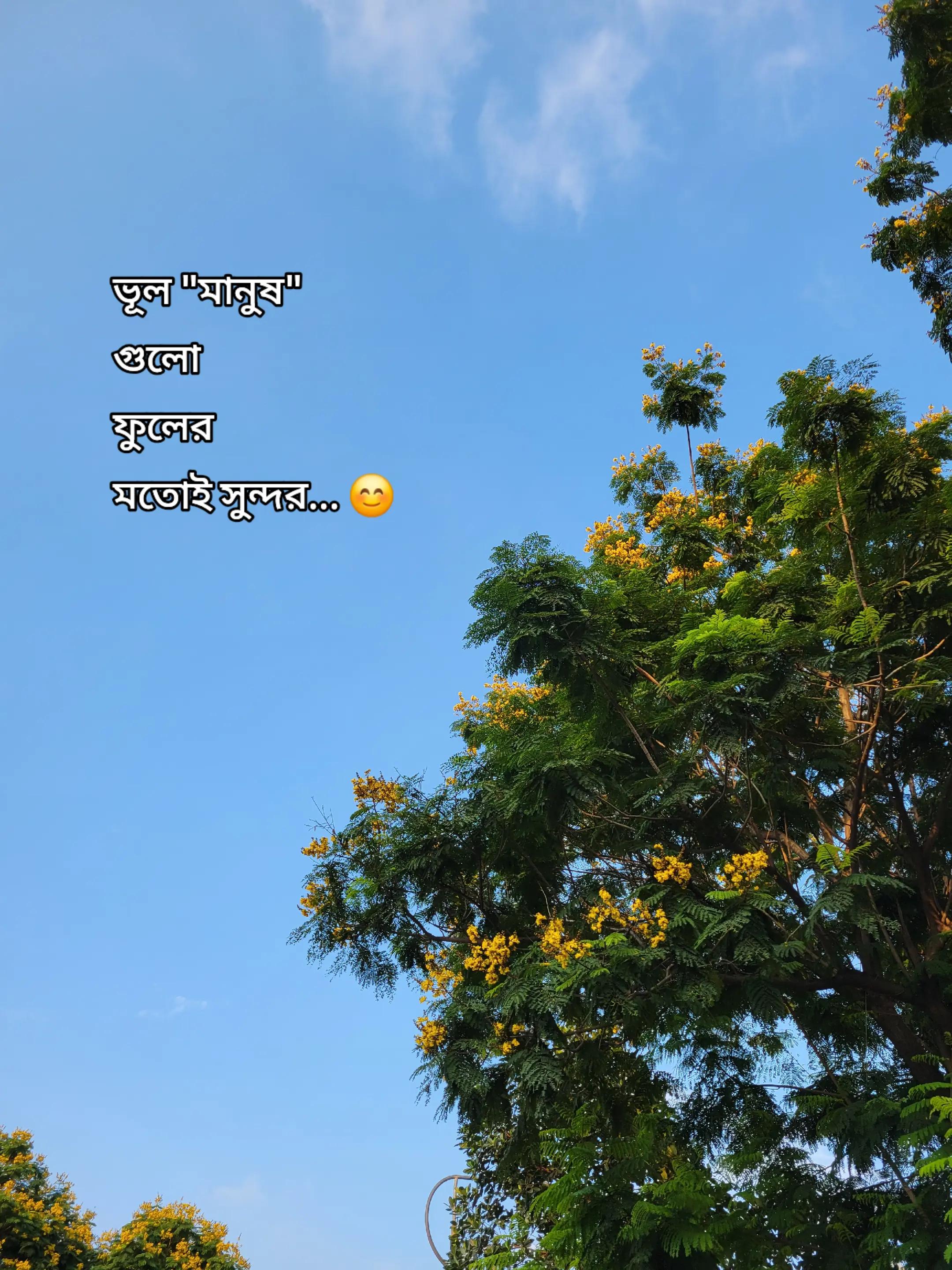 @Nabil