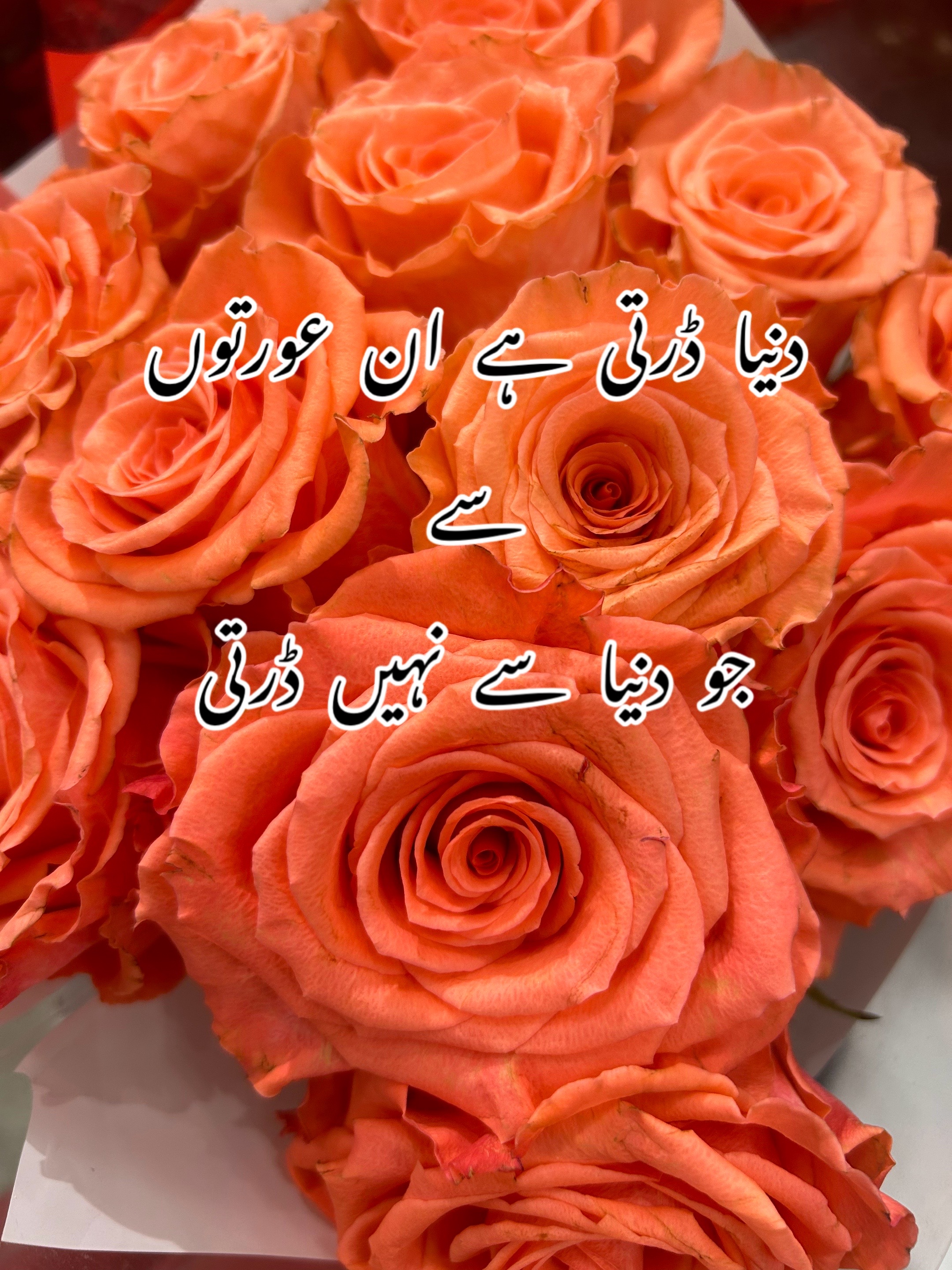 @ZaraHayat020104