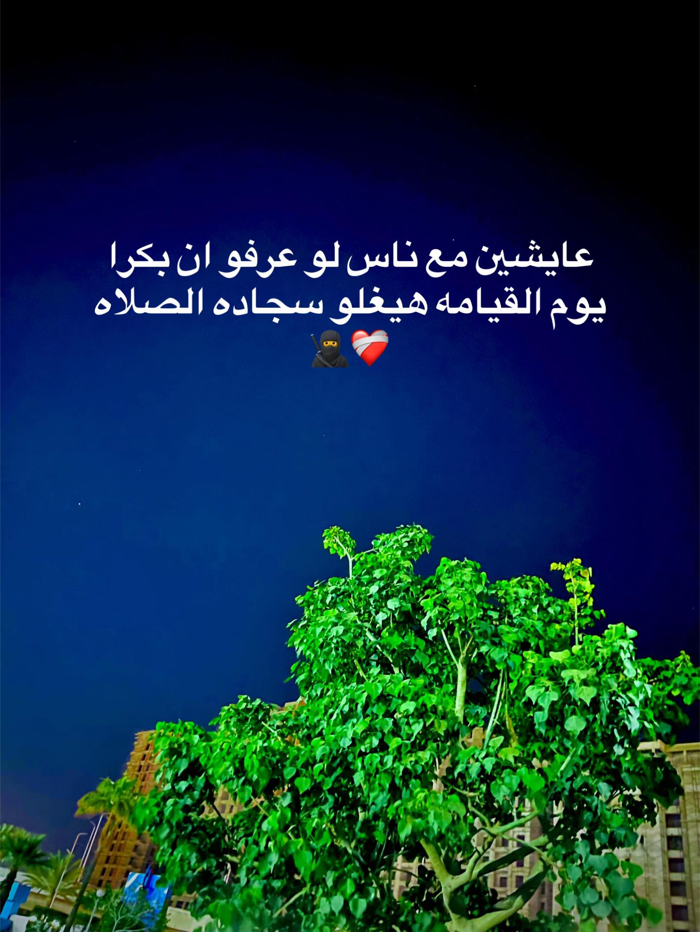 @Ramadan Sobhi-10
