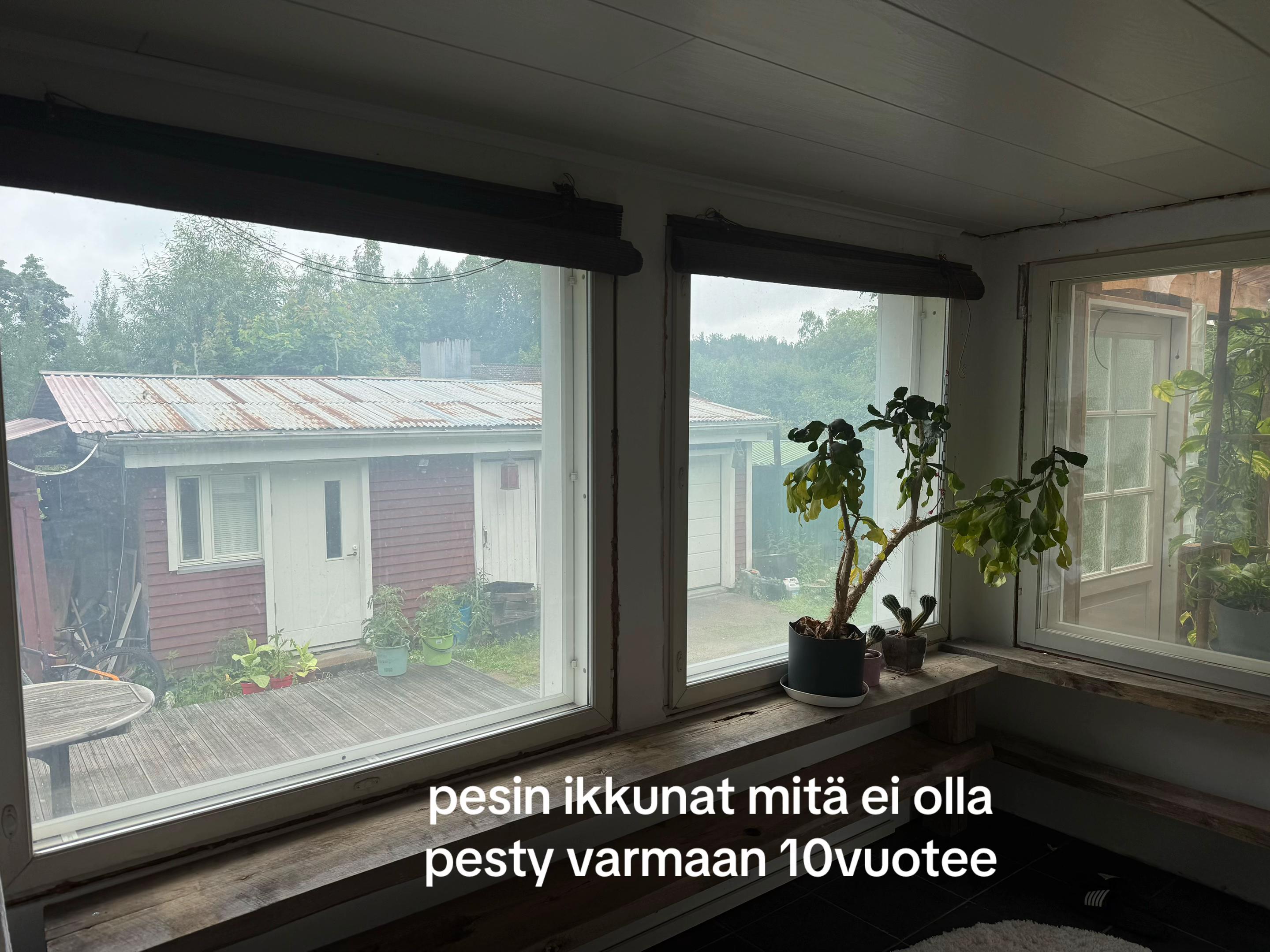 @Vivecapessa