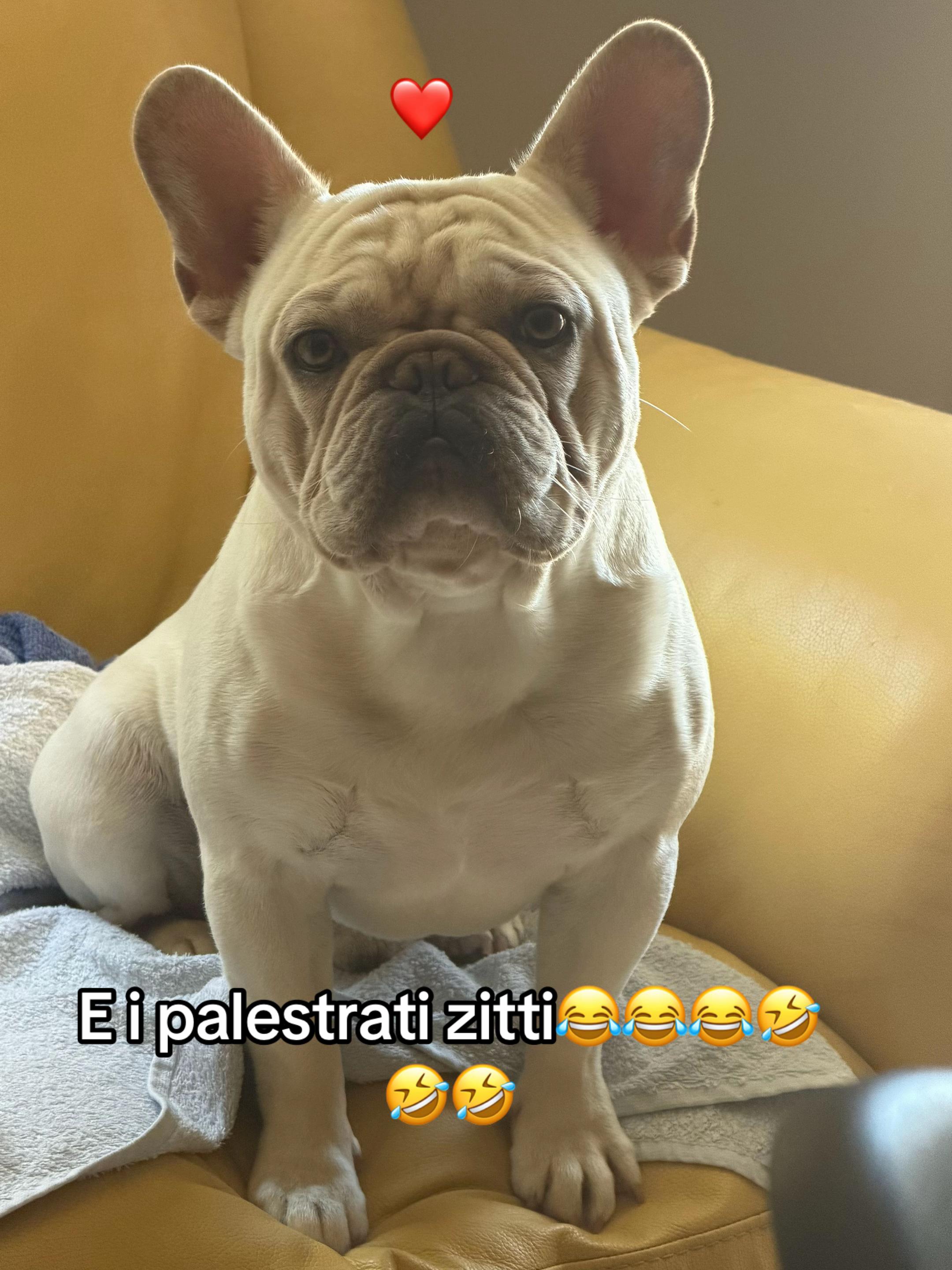 @🌟Cruella👁️