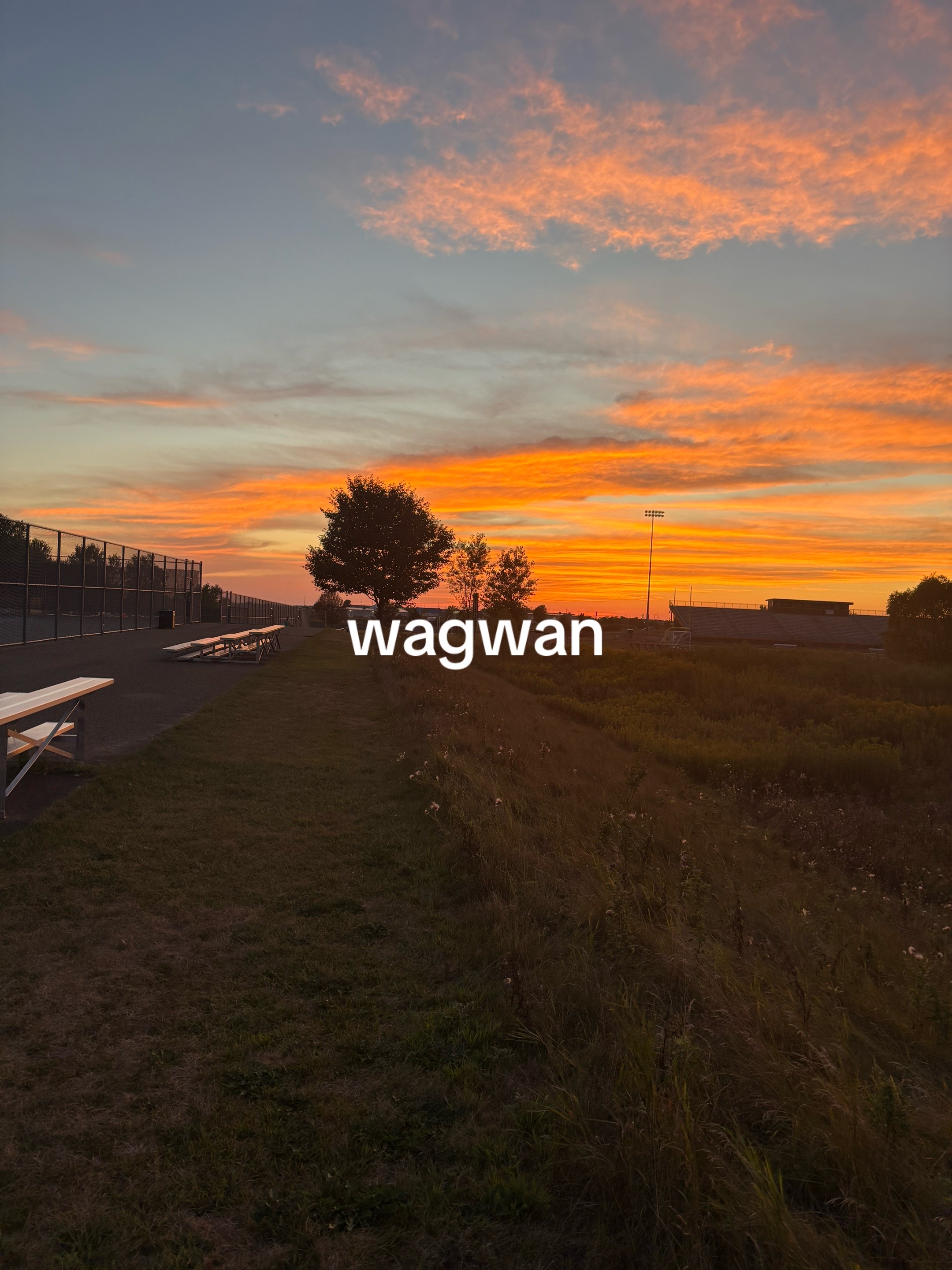 @𝓵𝓮𝓪𝓱⁷